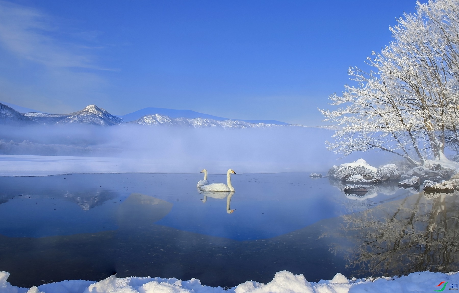 9.14����ͬ��yy��ʦ��Ʒ  ��졣�Ӹ��� ��ף���ٻ��Ա������.jpg