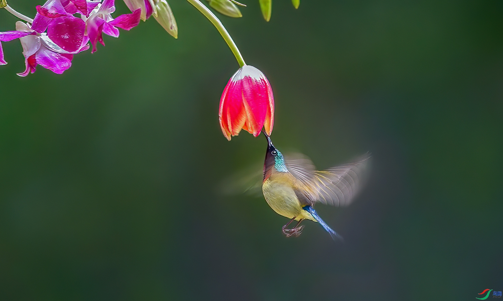 9.15�ƽ�Ҷ��ʦ��Ʒ   ̫���񡪡��ɻ��� ��ף���ٻ����Ѿ�����.jpg