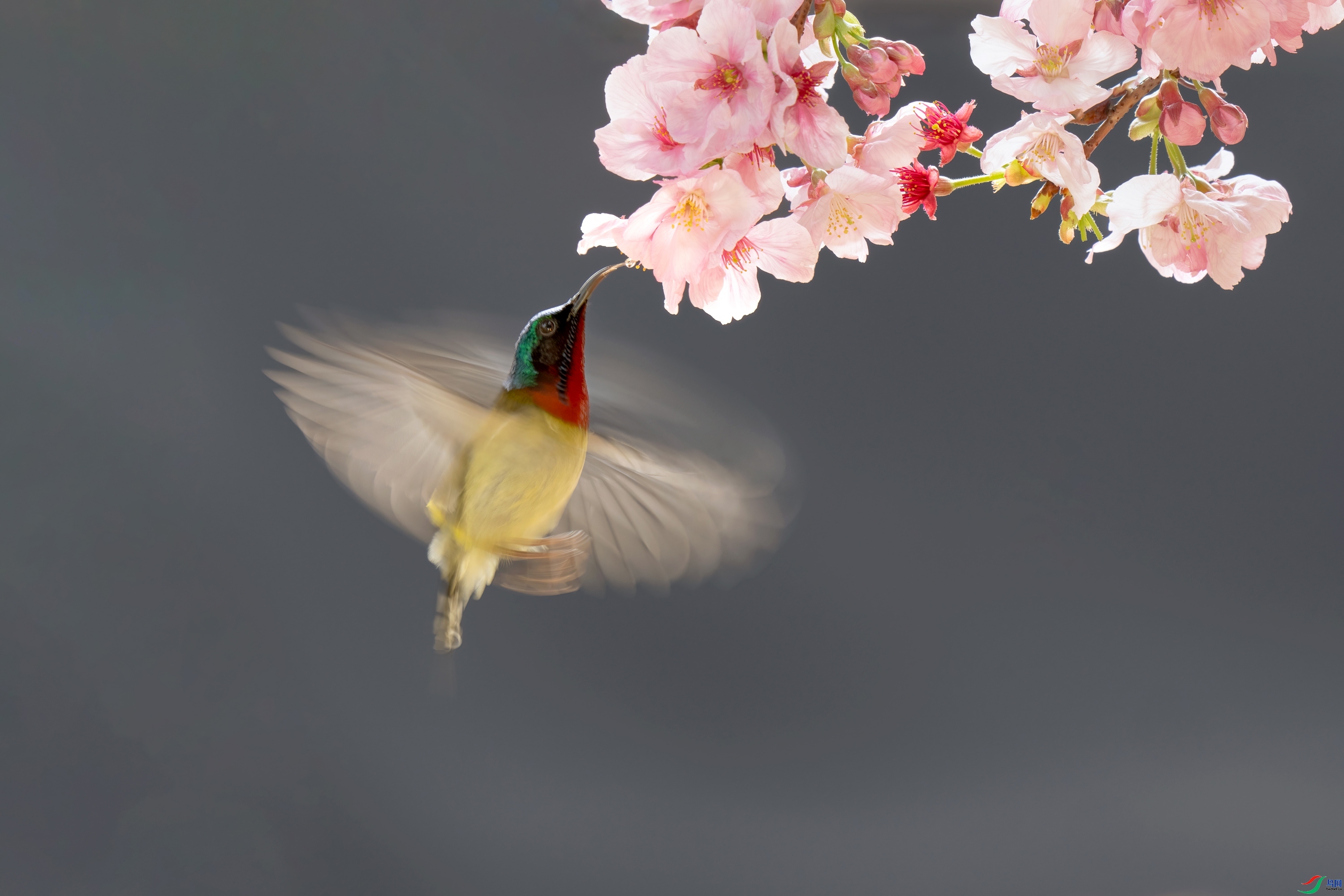 ��β̫����  ���� ���� �ܶ�.jpg