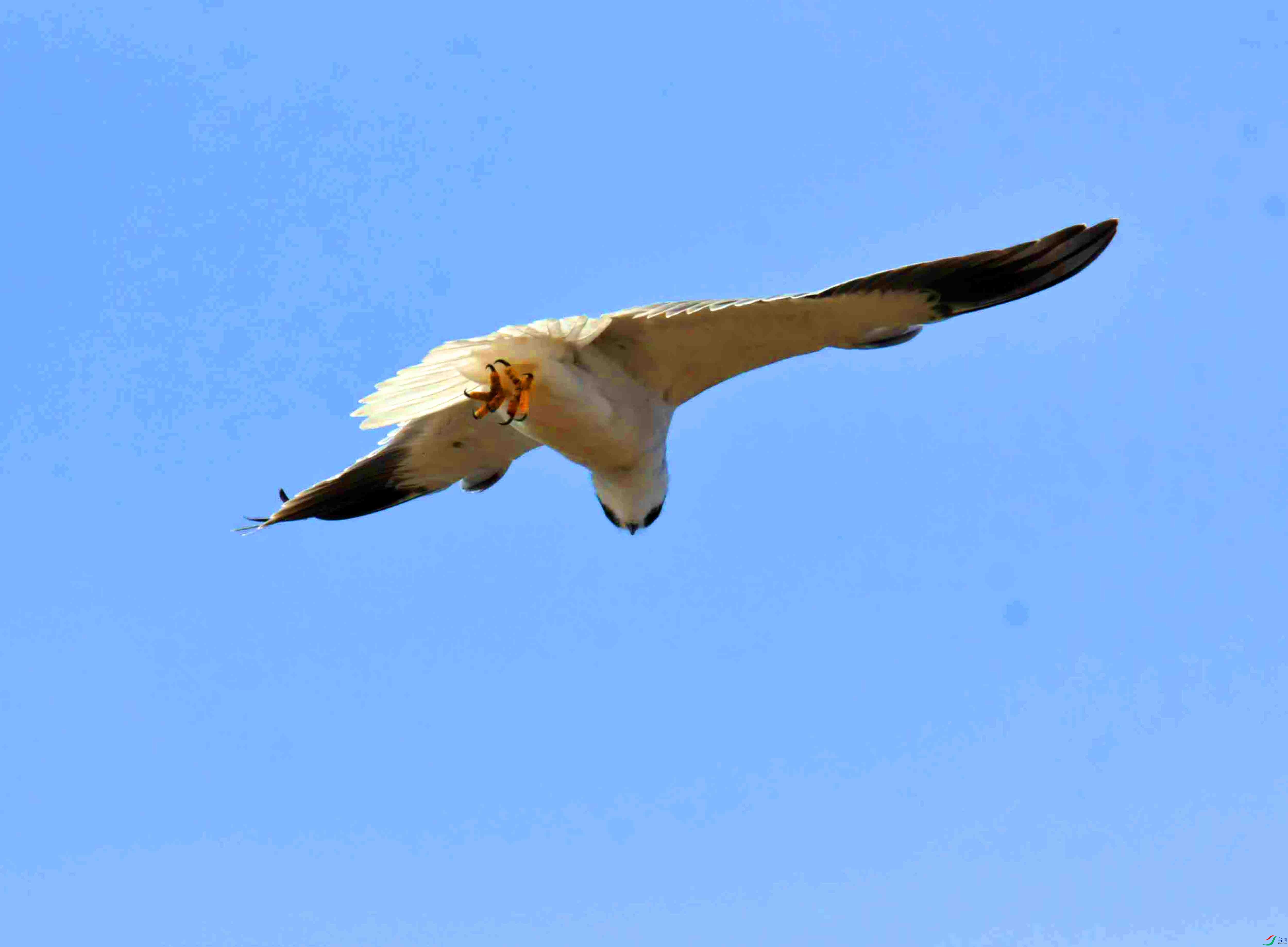 DSC_3797.JPG