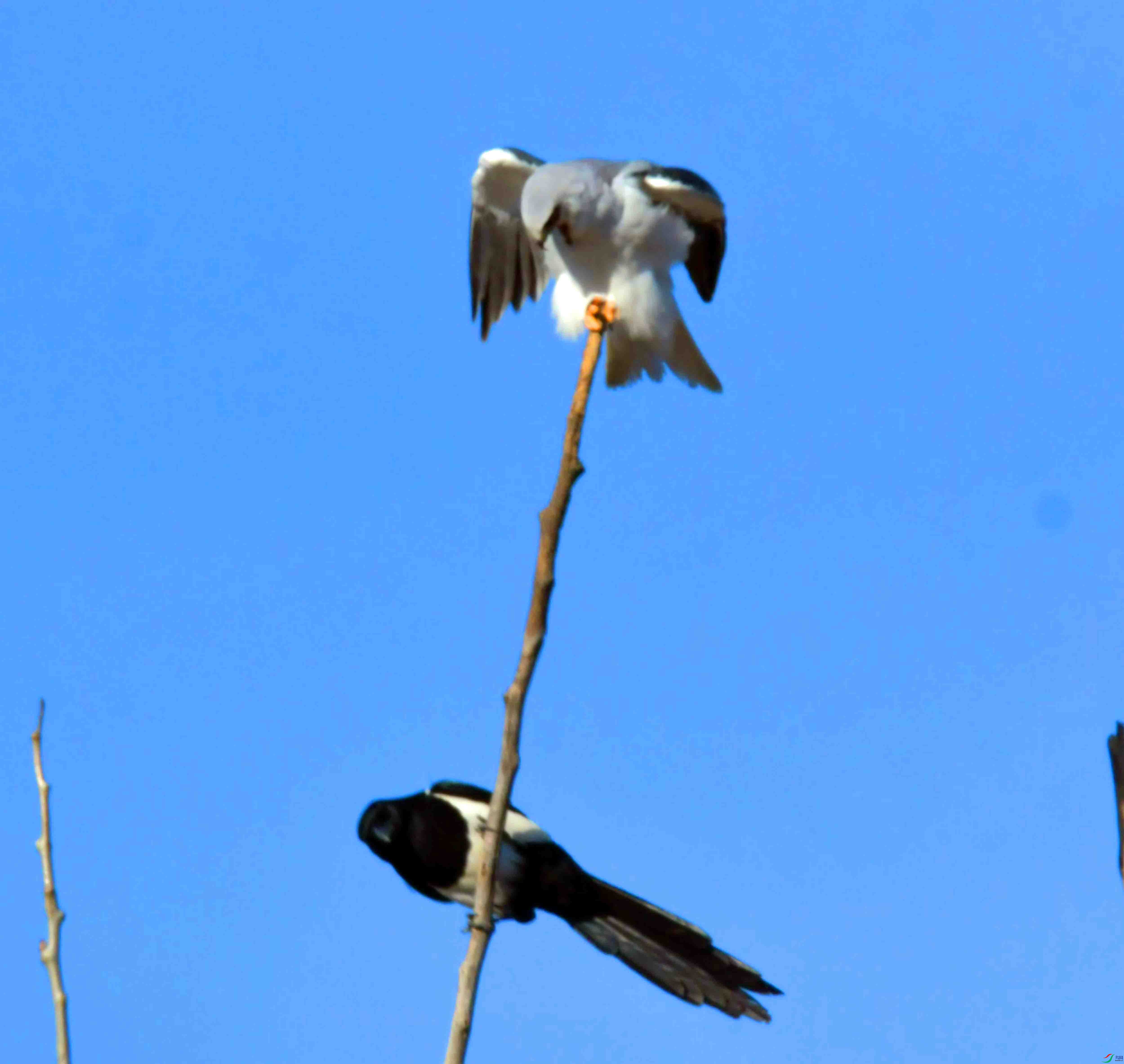 DSC_4347.JPG