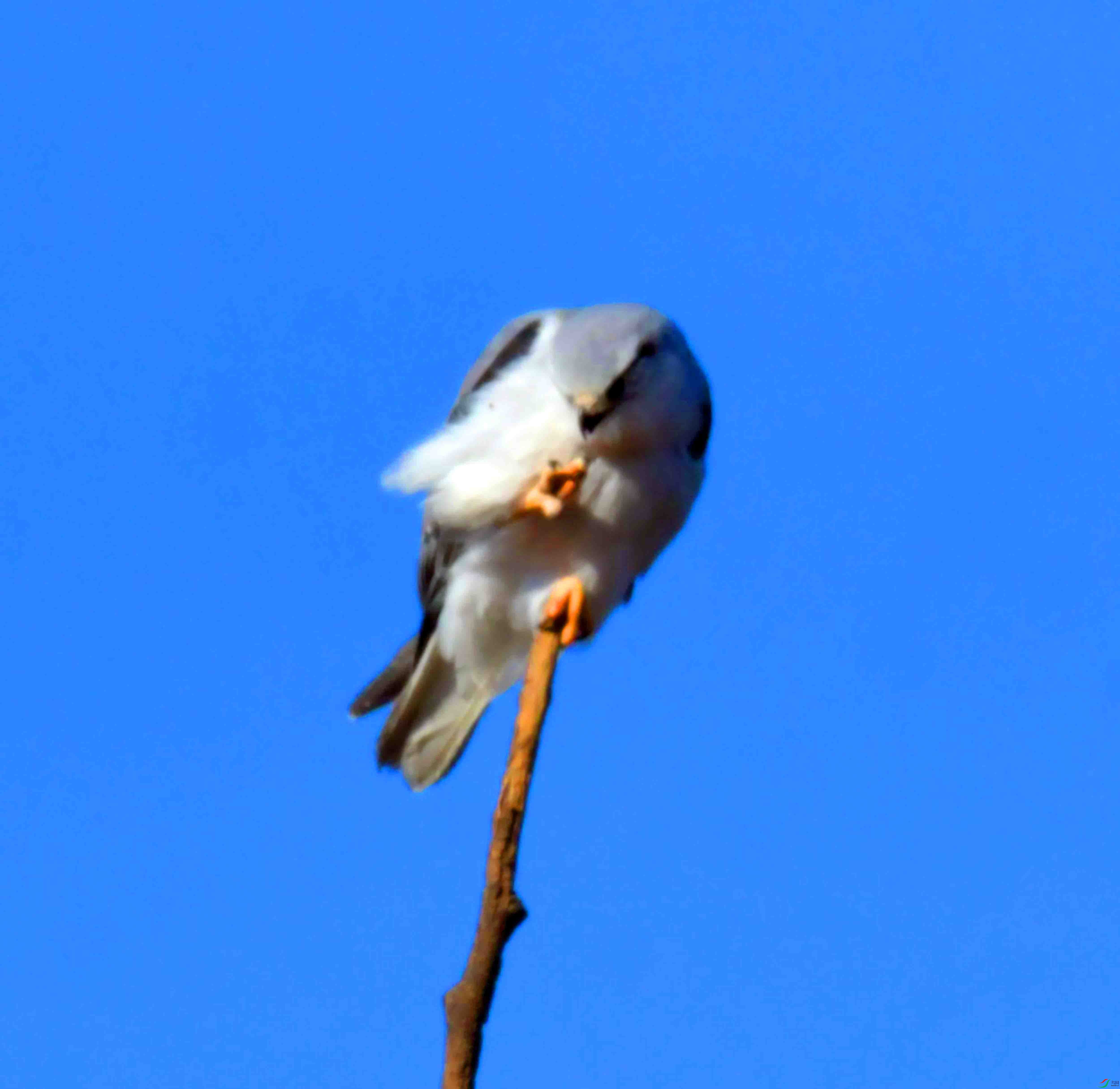 DSC_4393.JPG