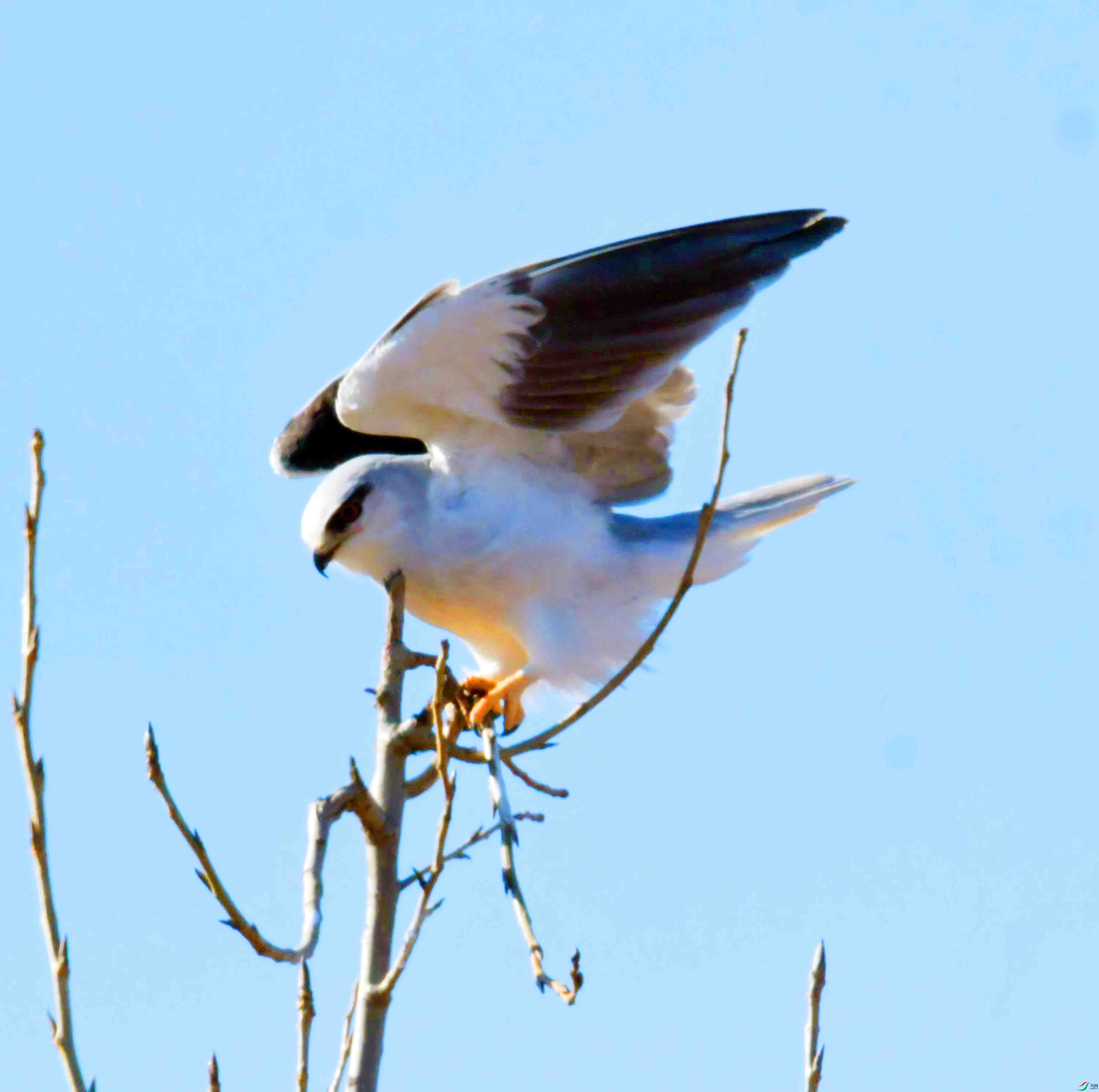 DSC_4424.JPG