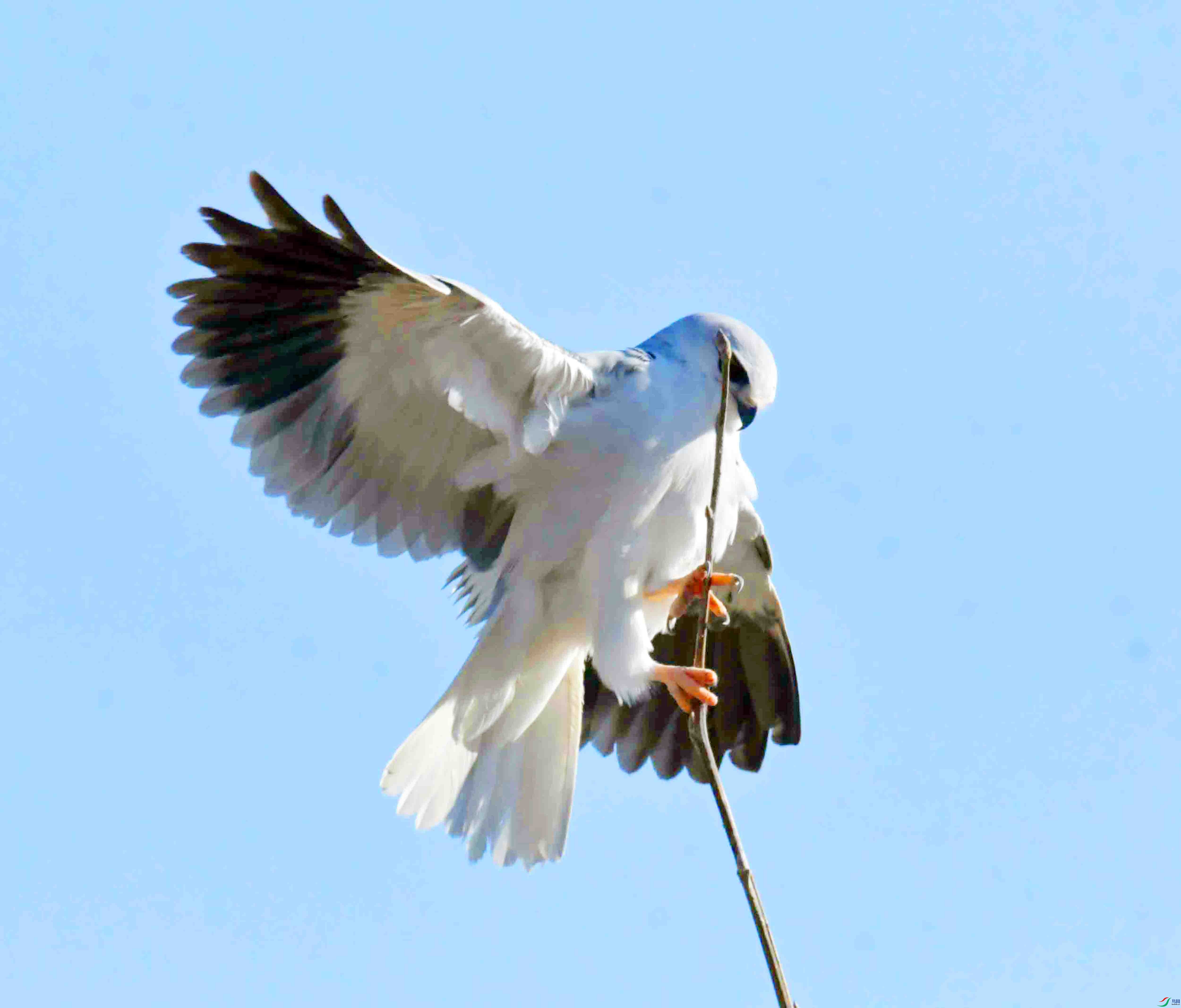 DSC_7549.JPG