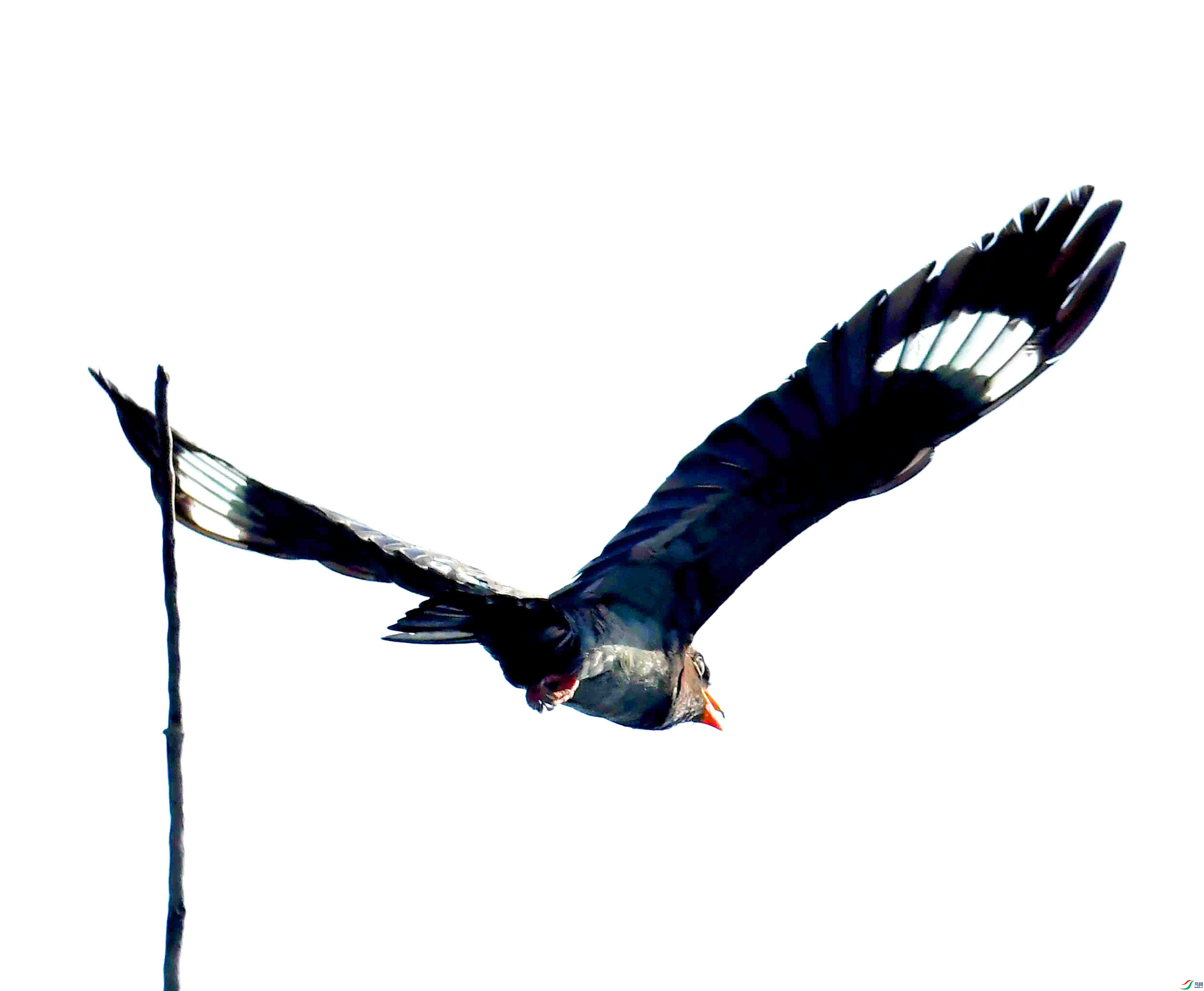 DSC_3629.JPG