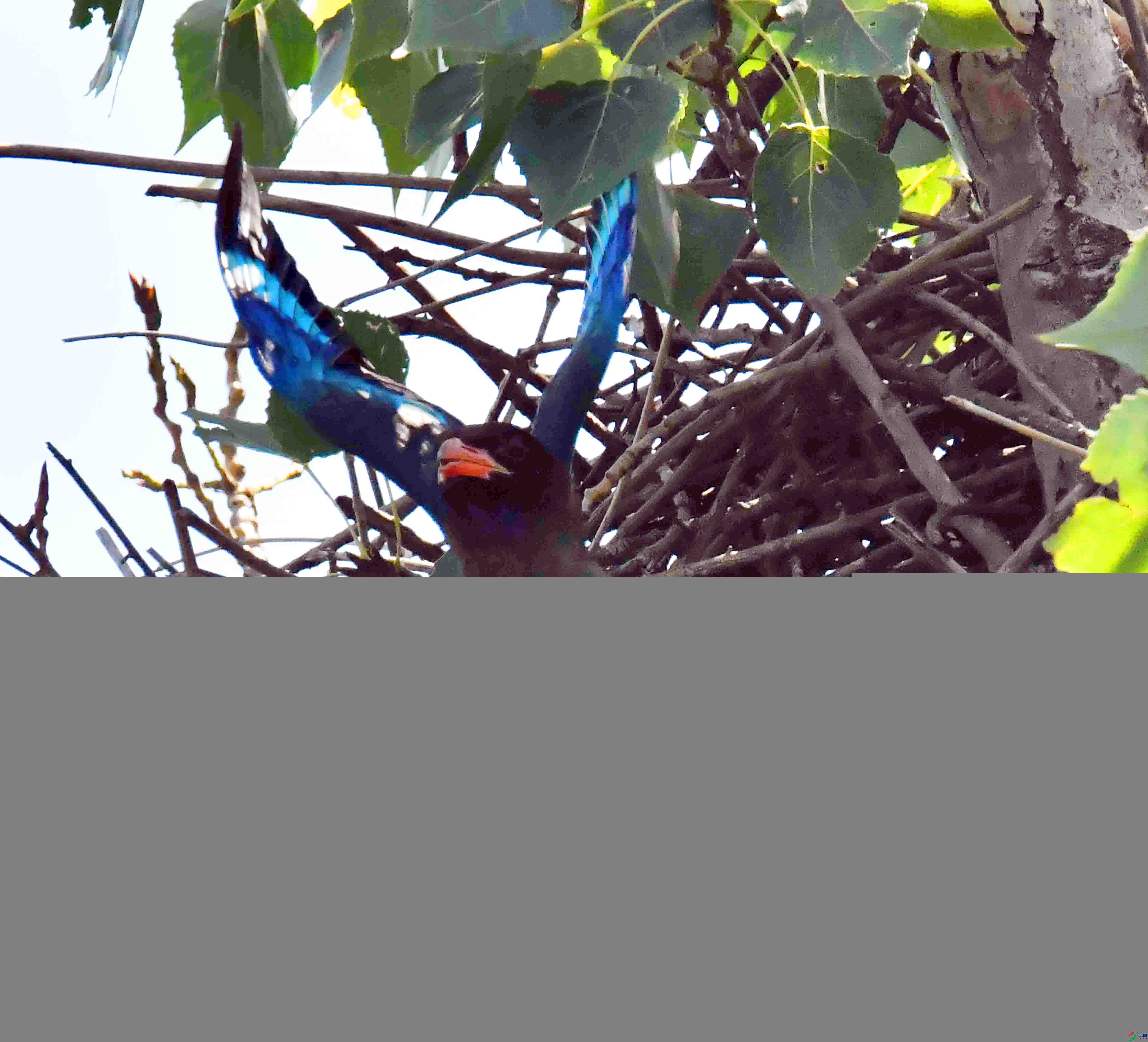 DSC_3797.JPG