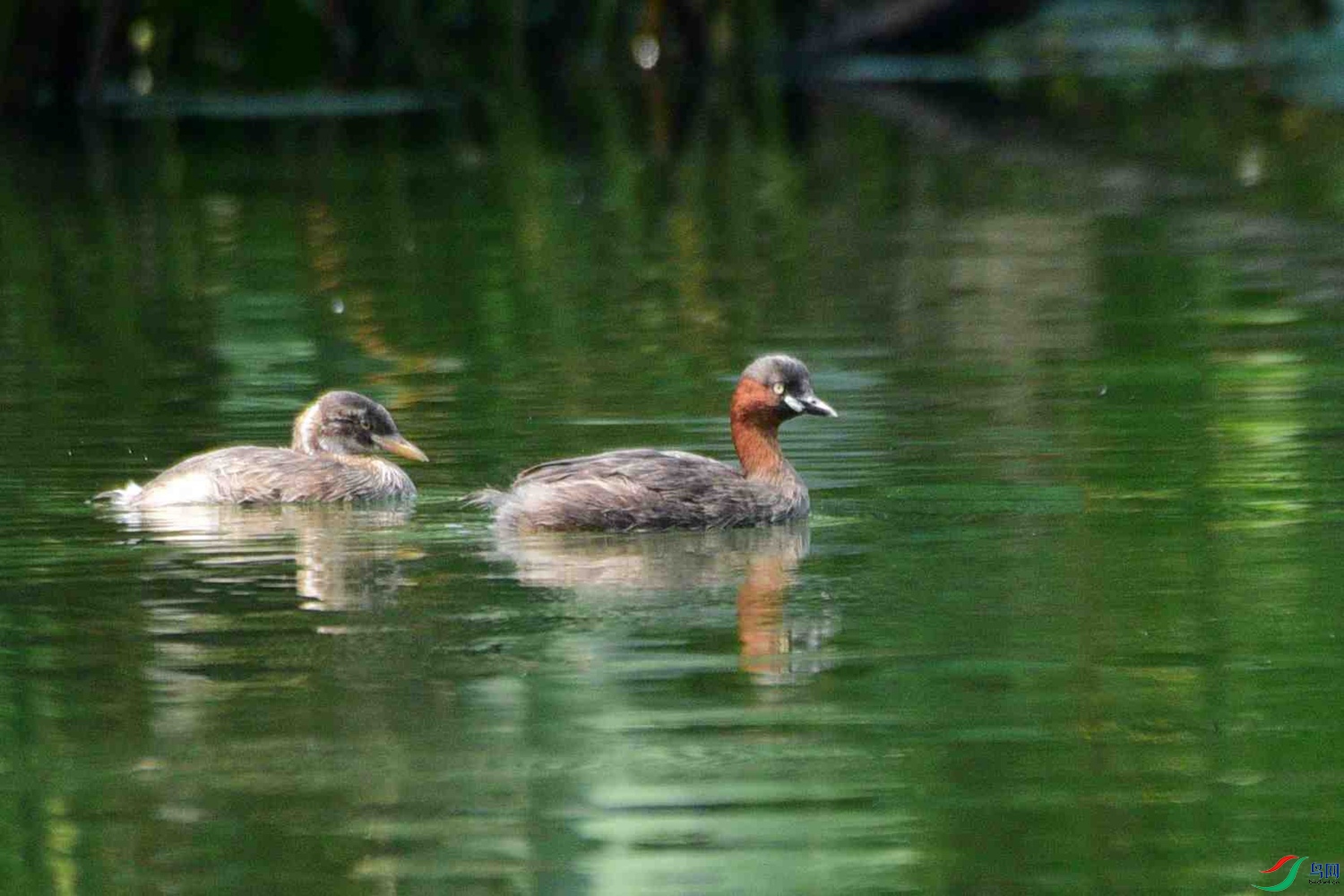 DSC_6177.JPG