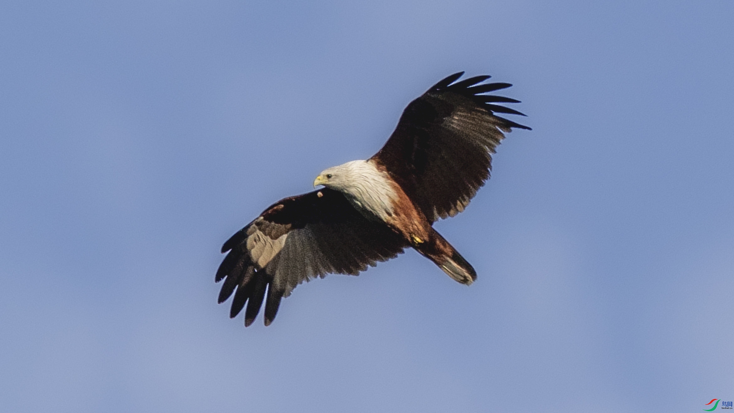 4Z6A5900.jpg
