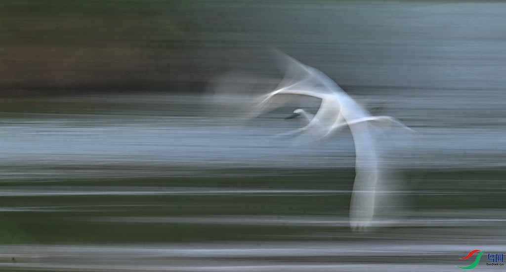 DSC_8799.JPG