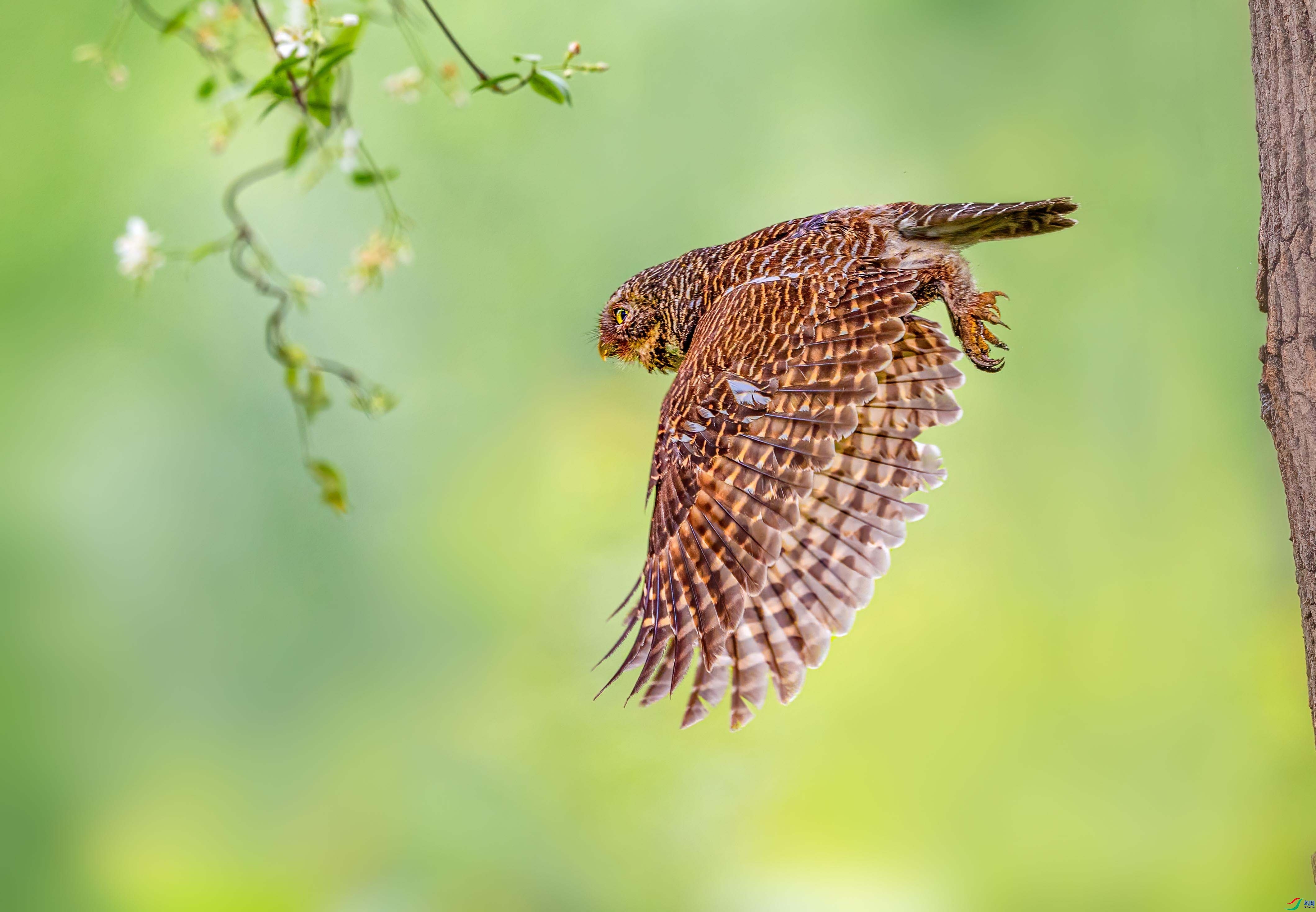 ��m ���� �ܸ� ��һ.jpg