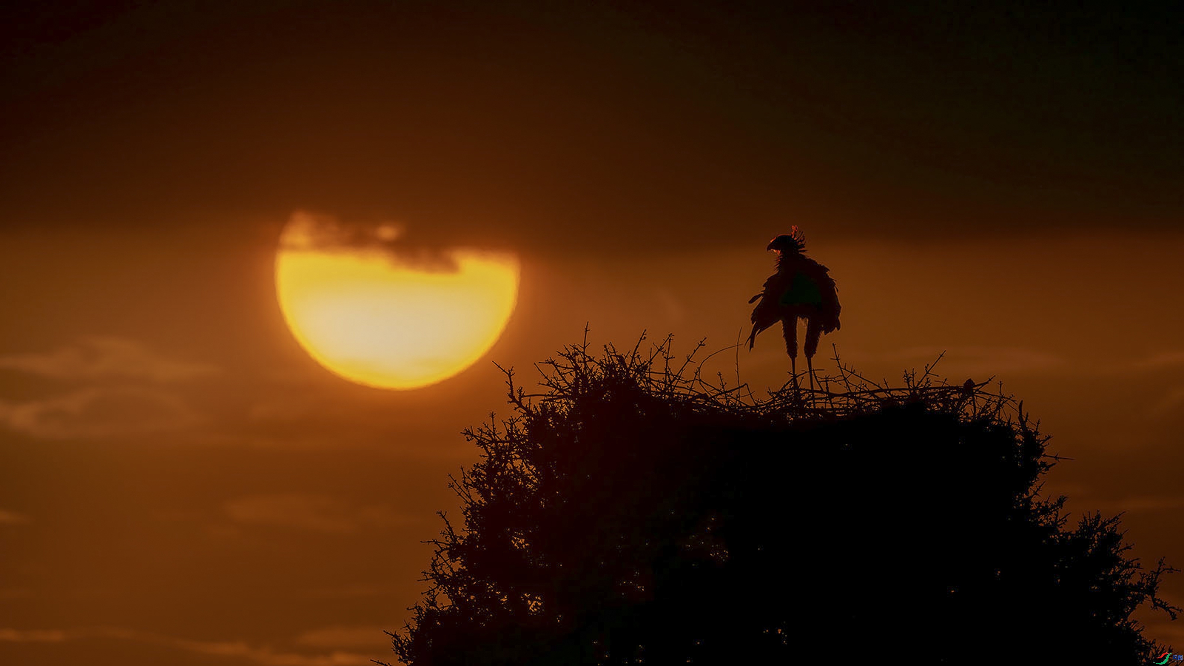 ��ϼ����չ���  ���� ��һ.jpg