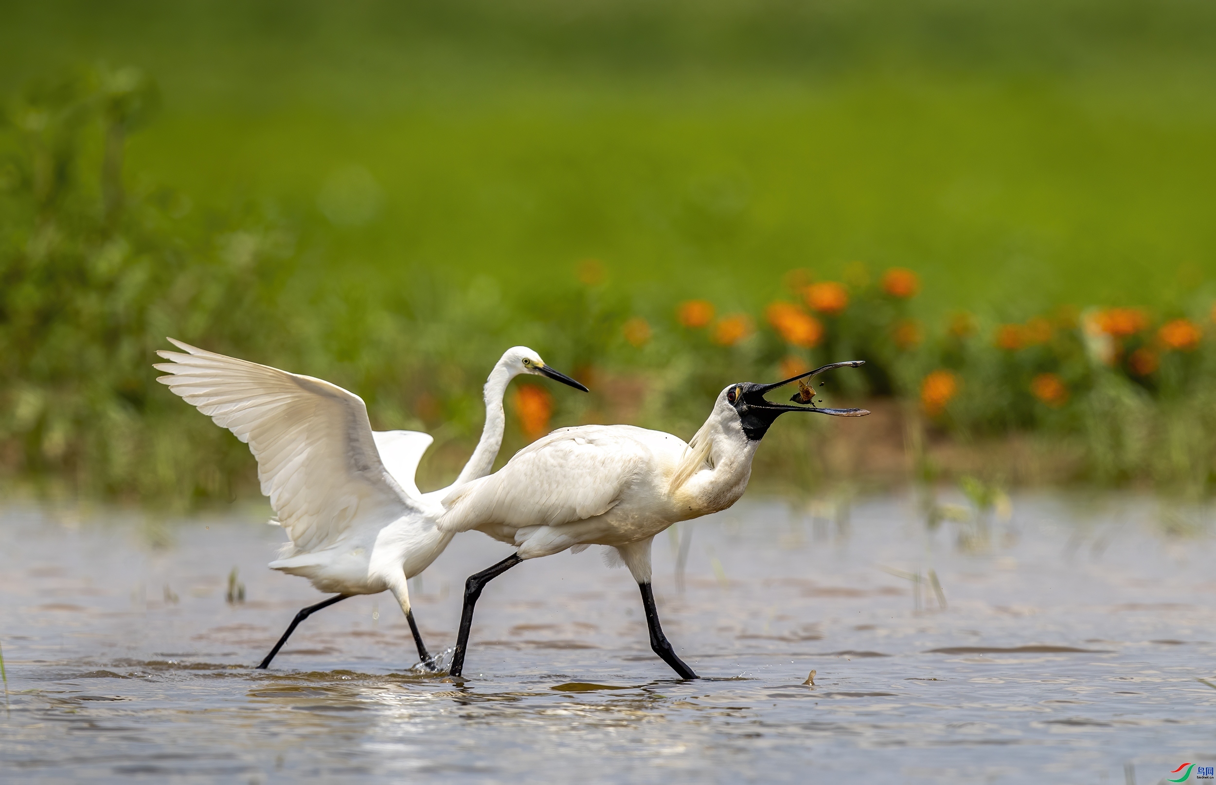 �ȵ��ȵ� ���� ����  �ܶ�.jpg