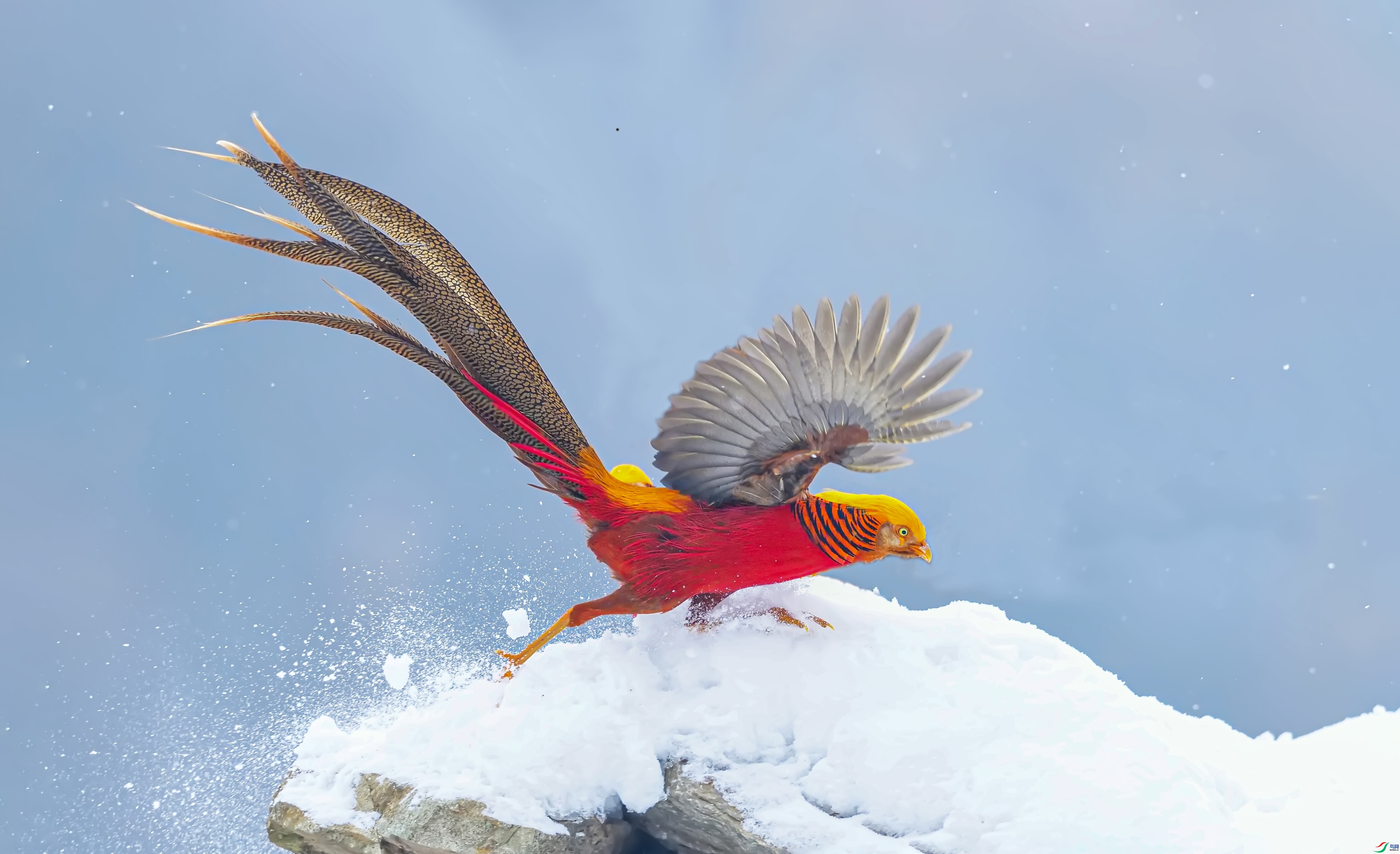 ̤ѩǰ�� ���� ������ ����.jpg