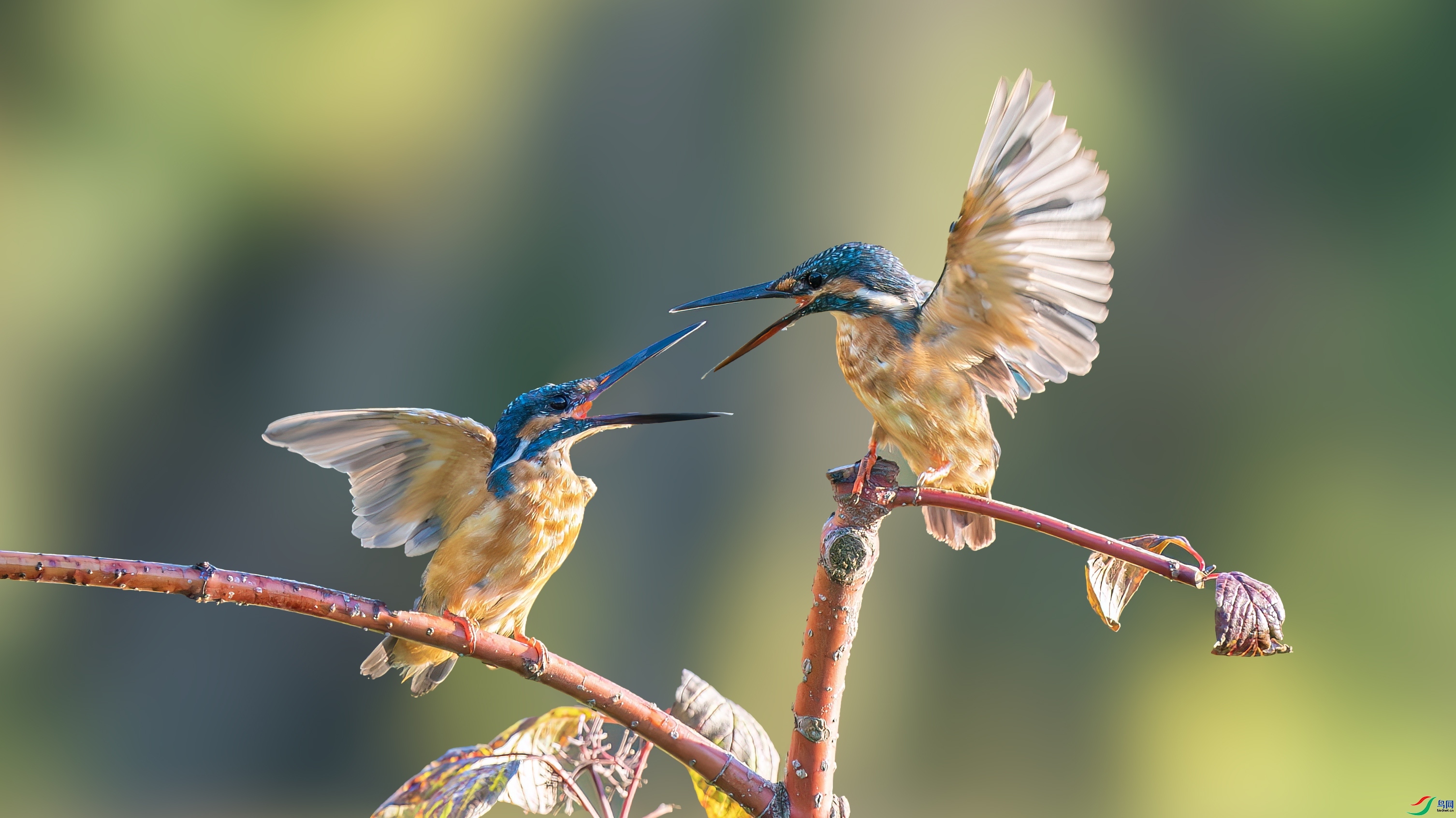 ���� ���� ľ�� ����.jpg