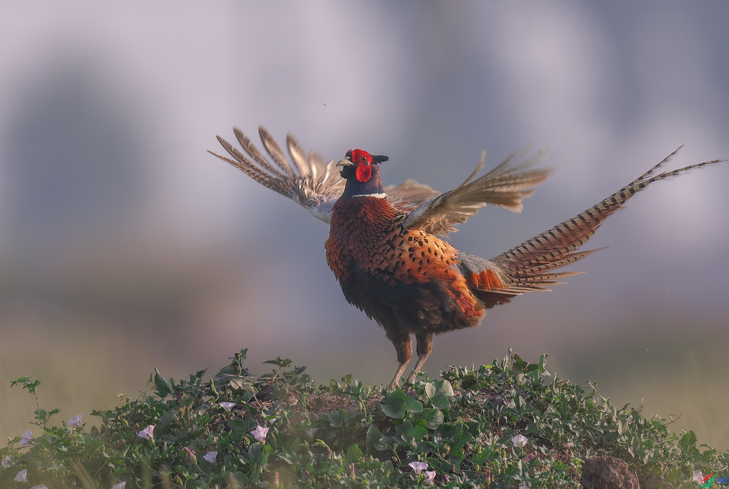 �ۼ�չ�� ���� һ·���� ����.jpg