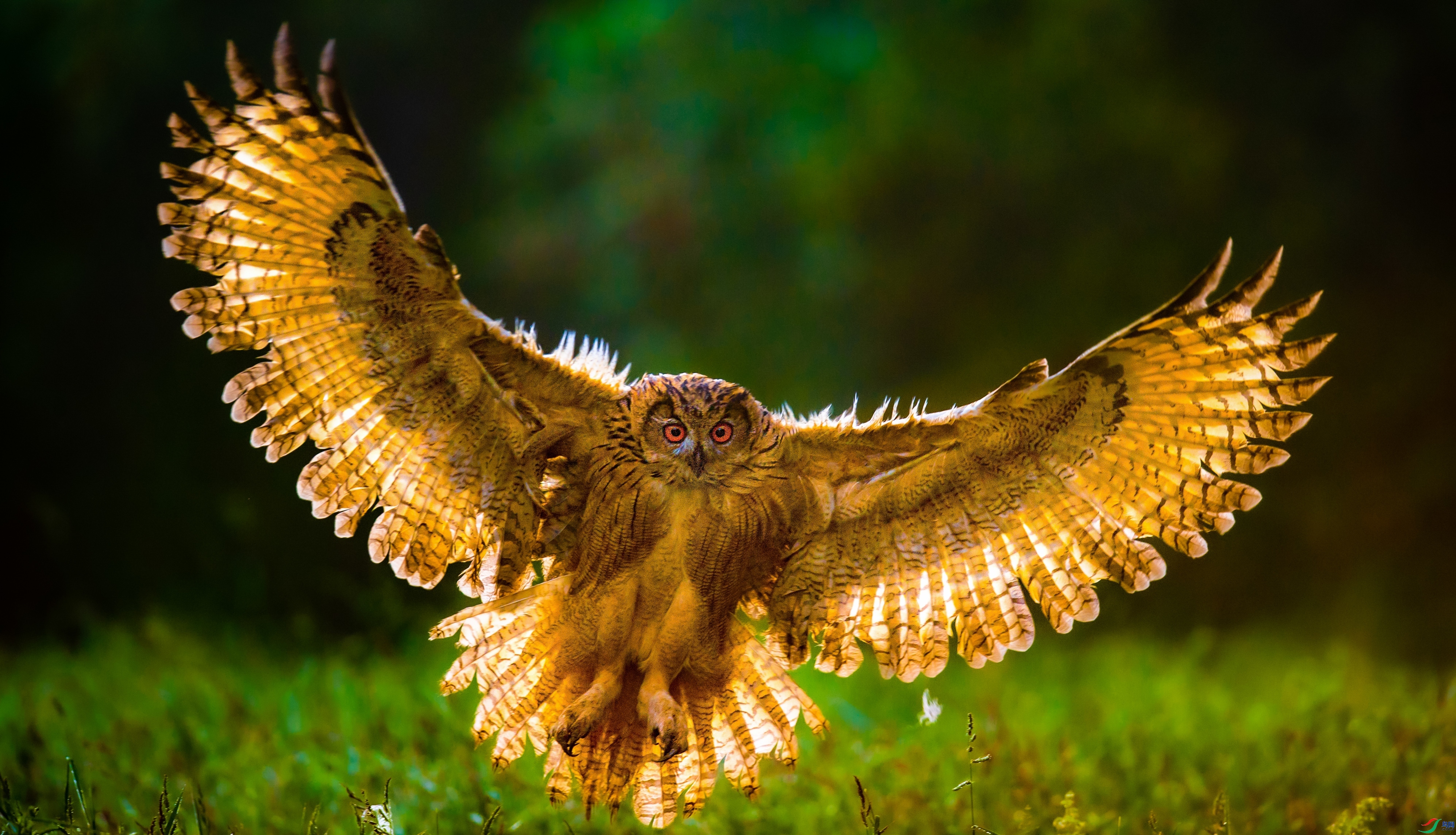 ���^չ�� ���� ����������������.jpg