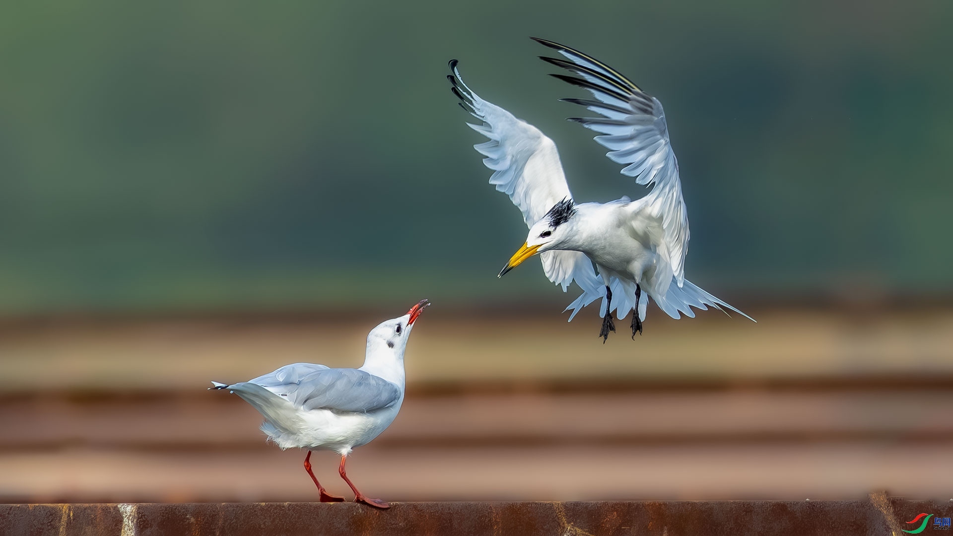 ����  ���� ɳ���Խ� ����.jpg