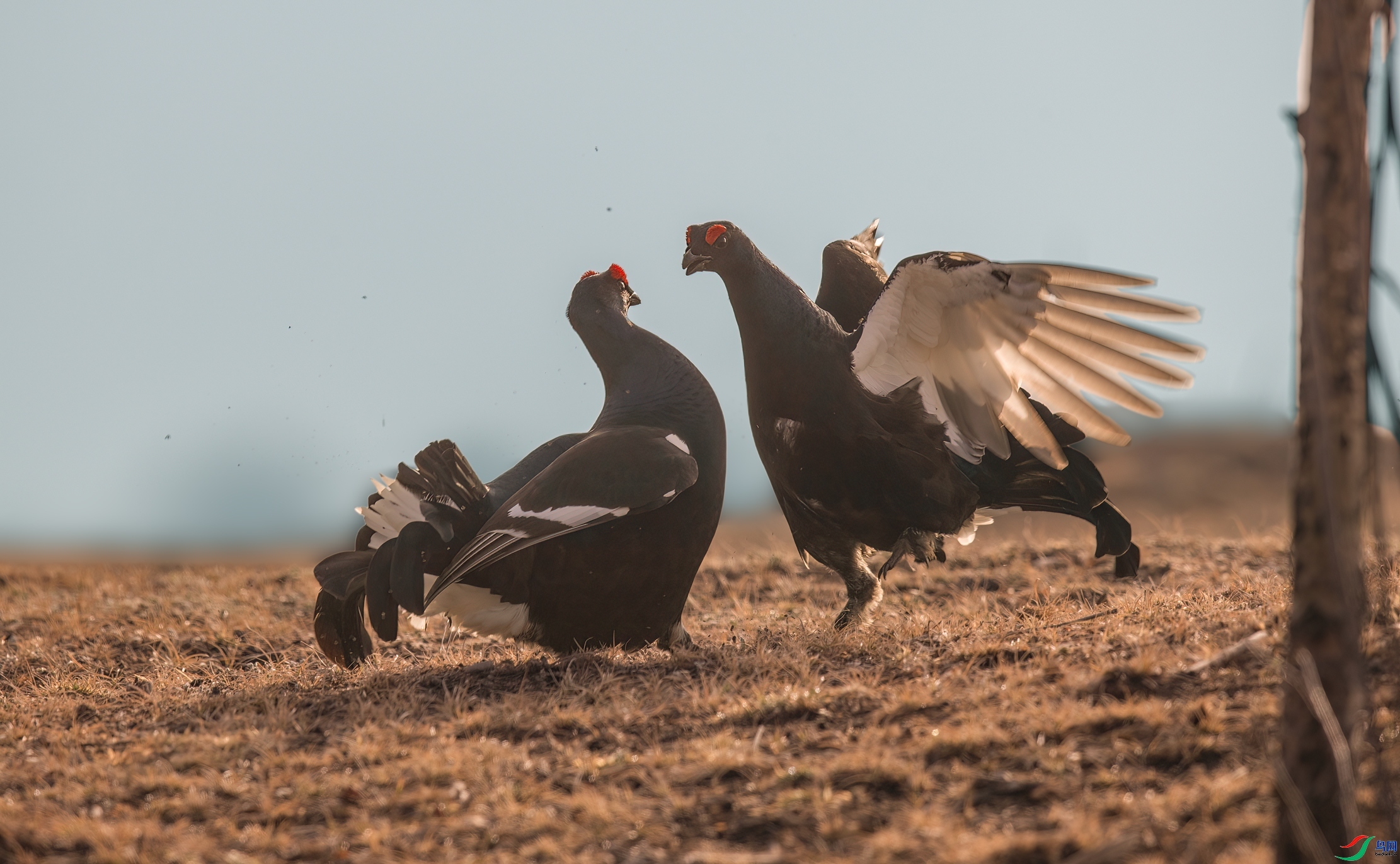 �峿��չ-���ټ� ���� һ·���� ����.jpg