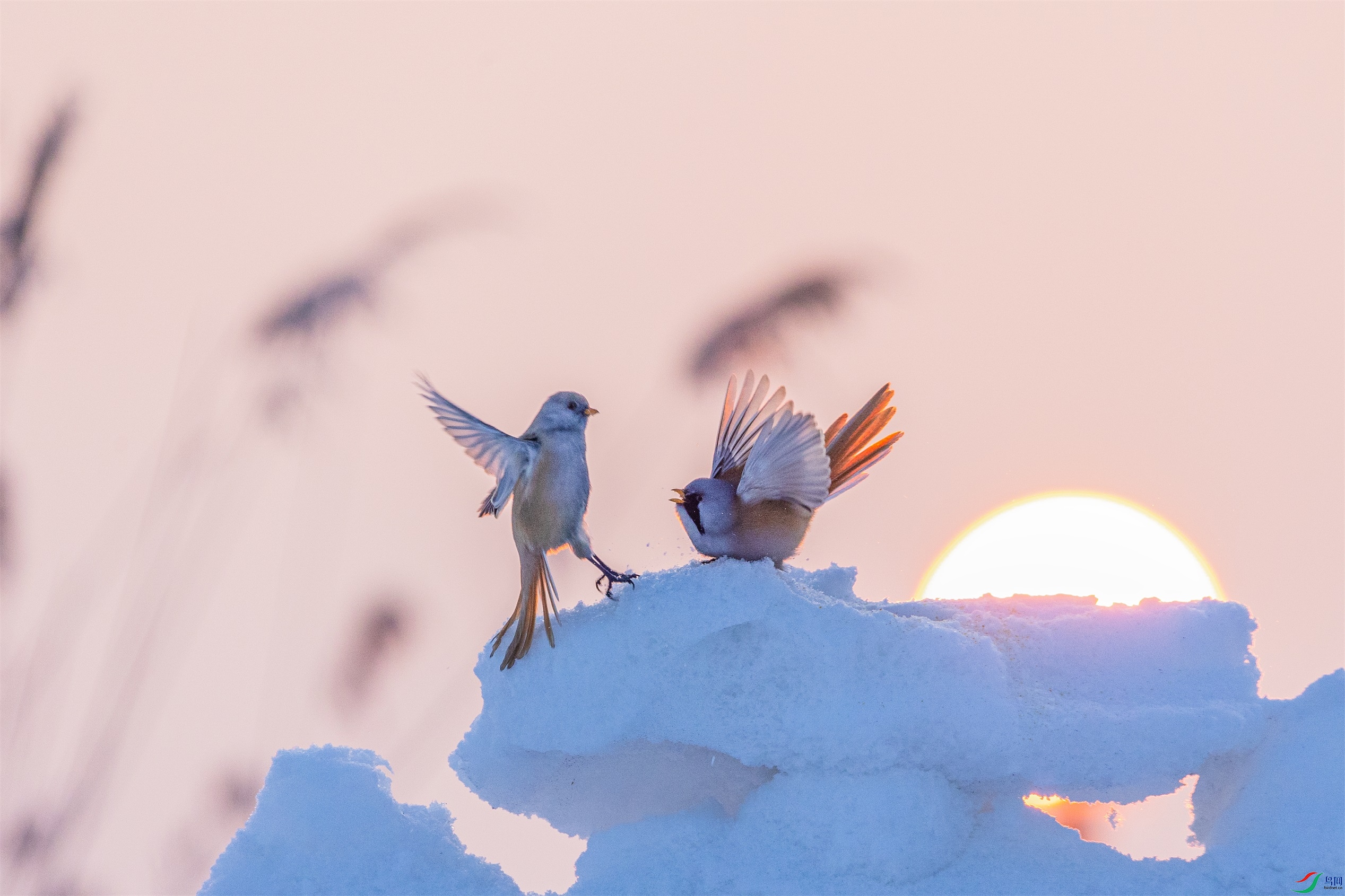 1K3A9501 ����1.jpg