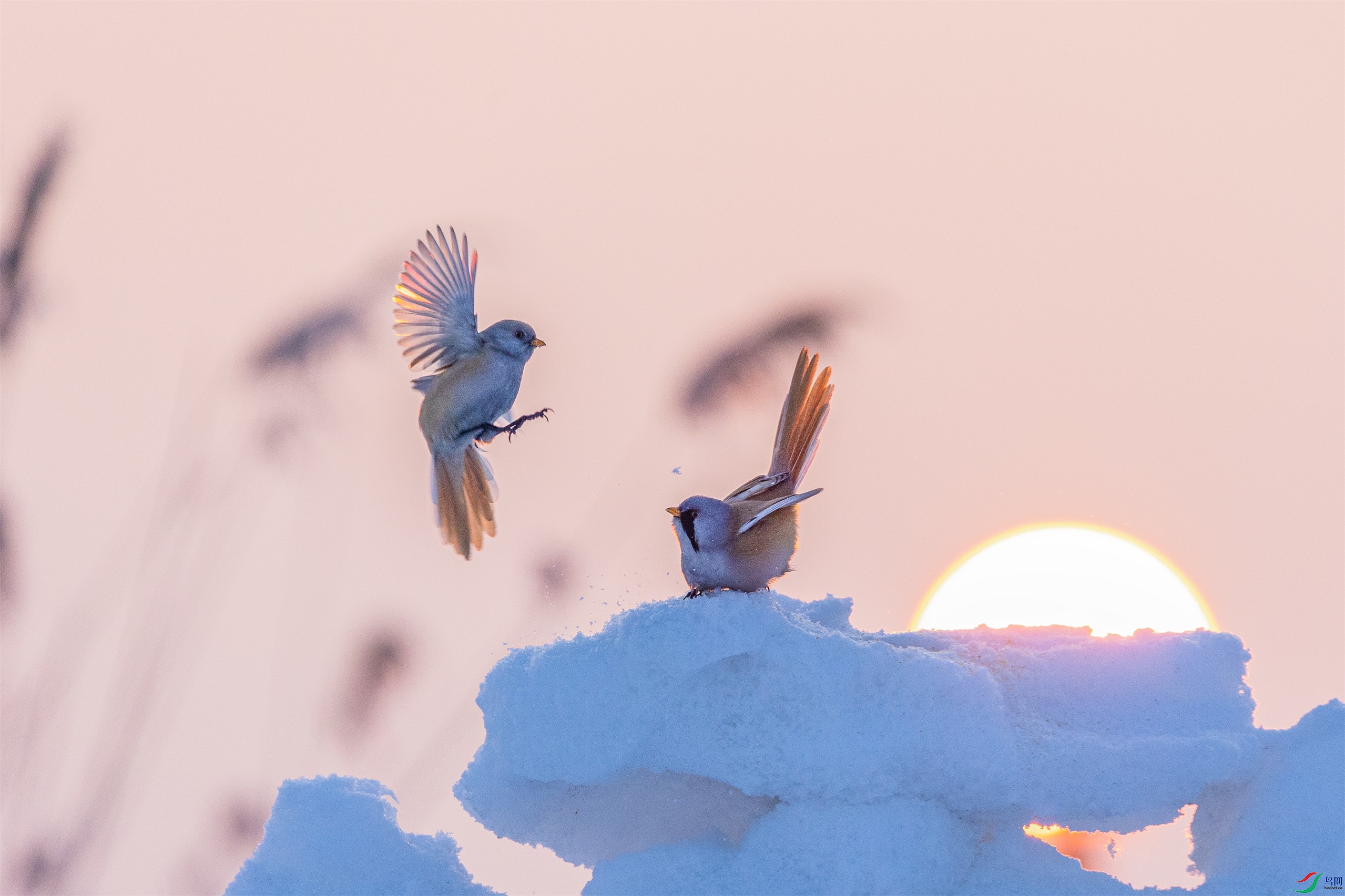 1K3A9502 ����1.jpg