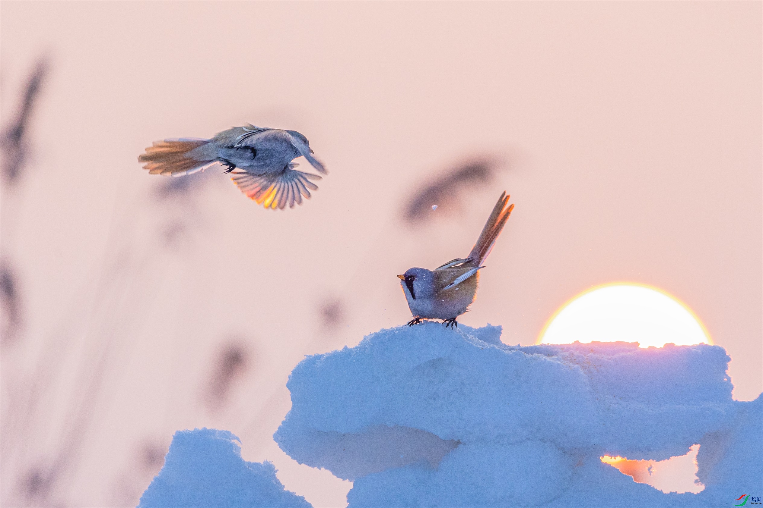 1K3A9503 ����1.jpg