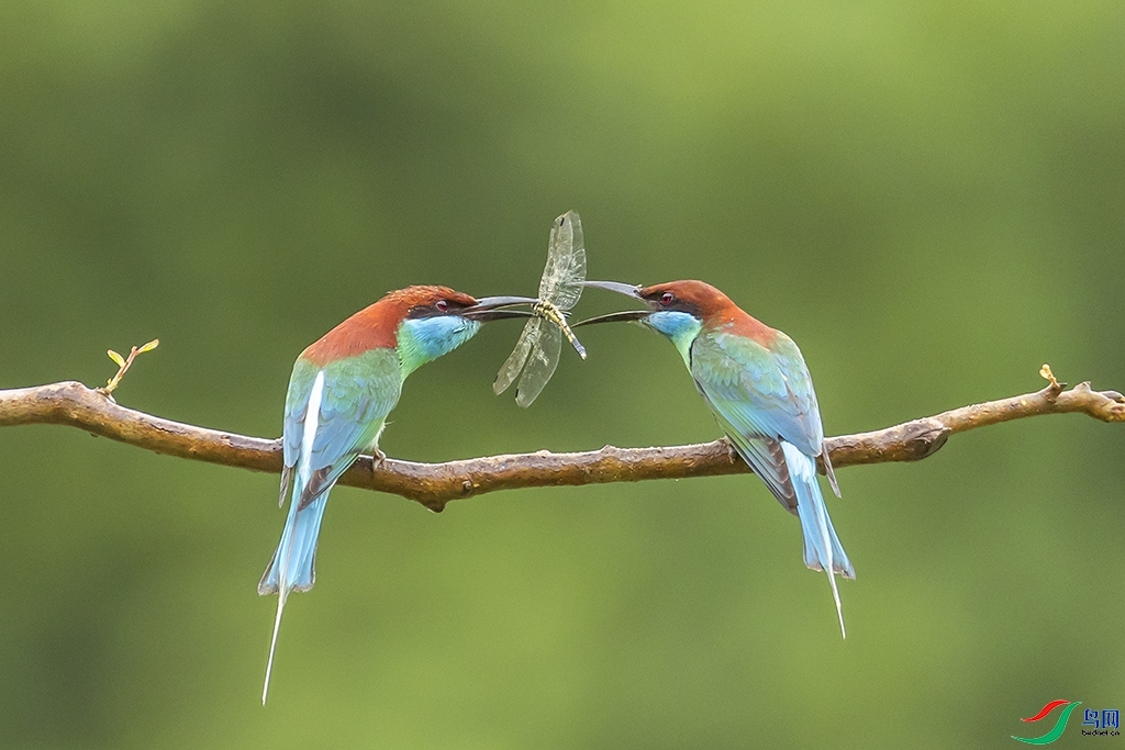 �����仢 ���� ������ ����.jpg