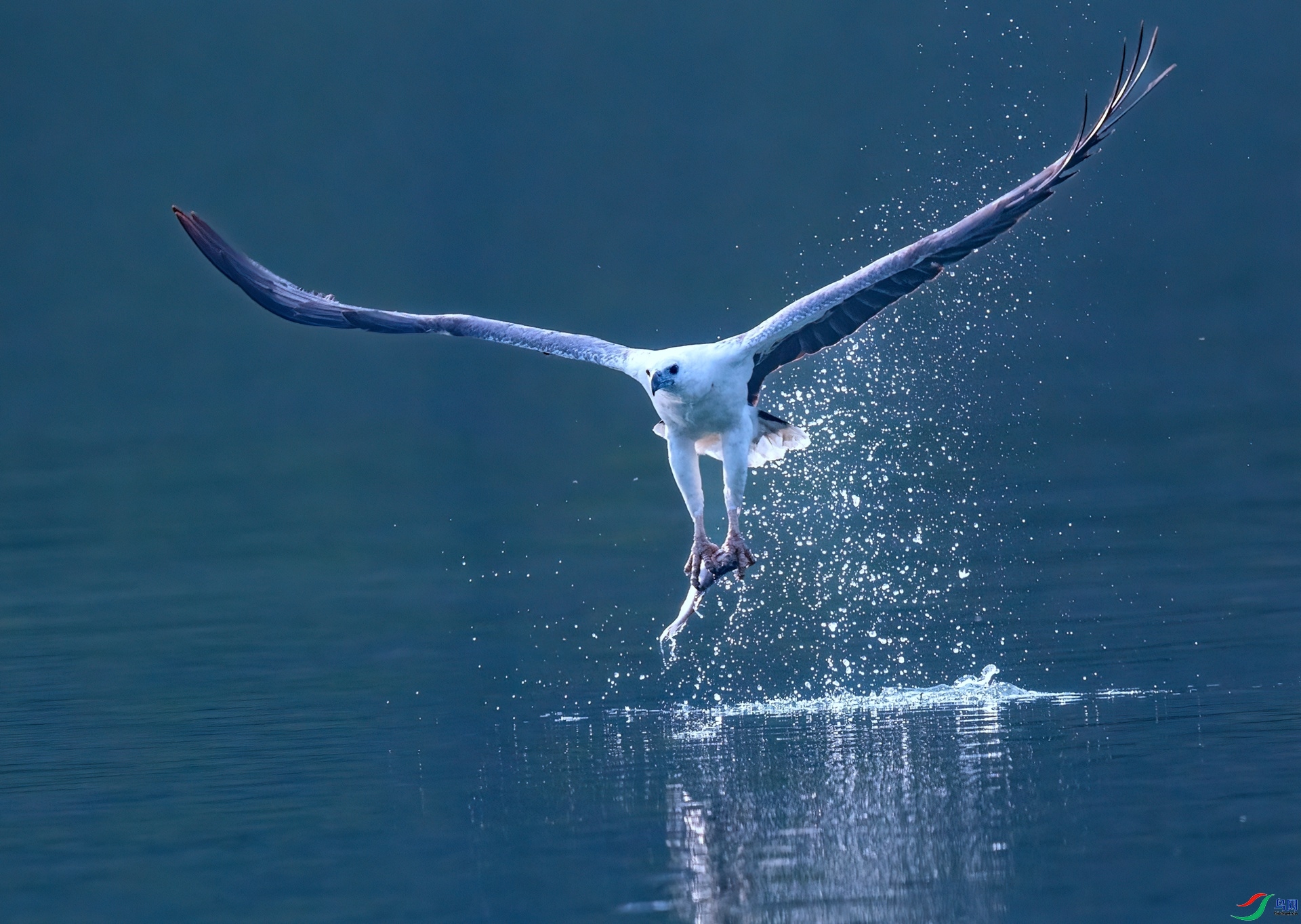 �׸�����  ���� �ϱ��´�xa  ����.jpg