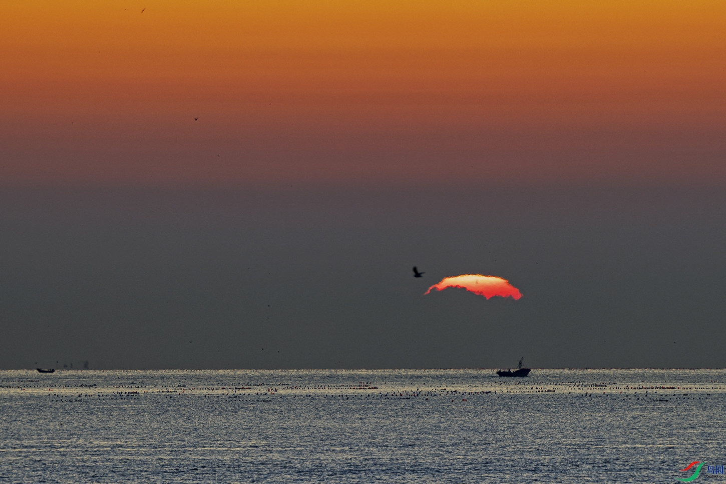 _5LM2787a.jpg