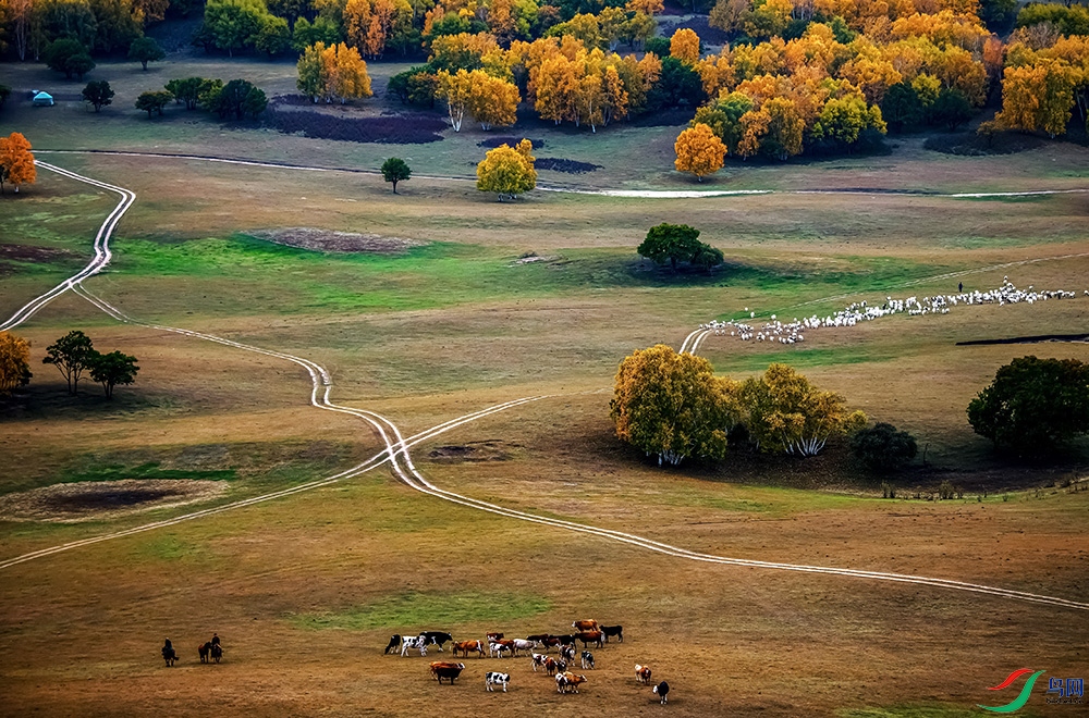 ������ɫ