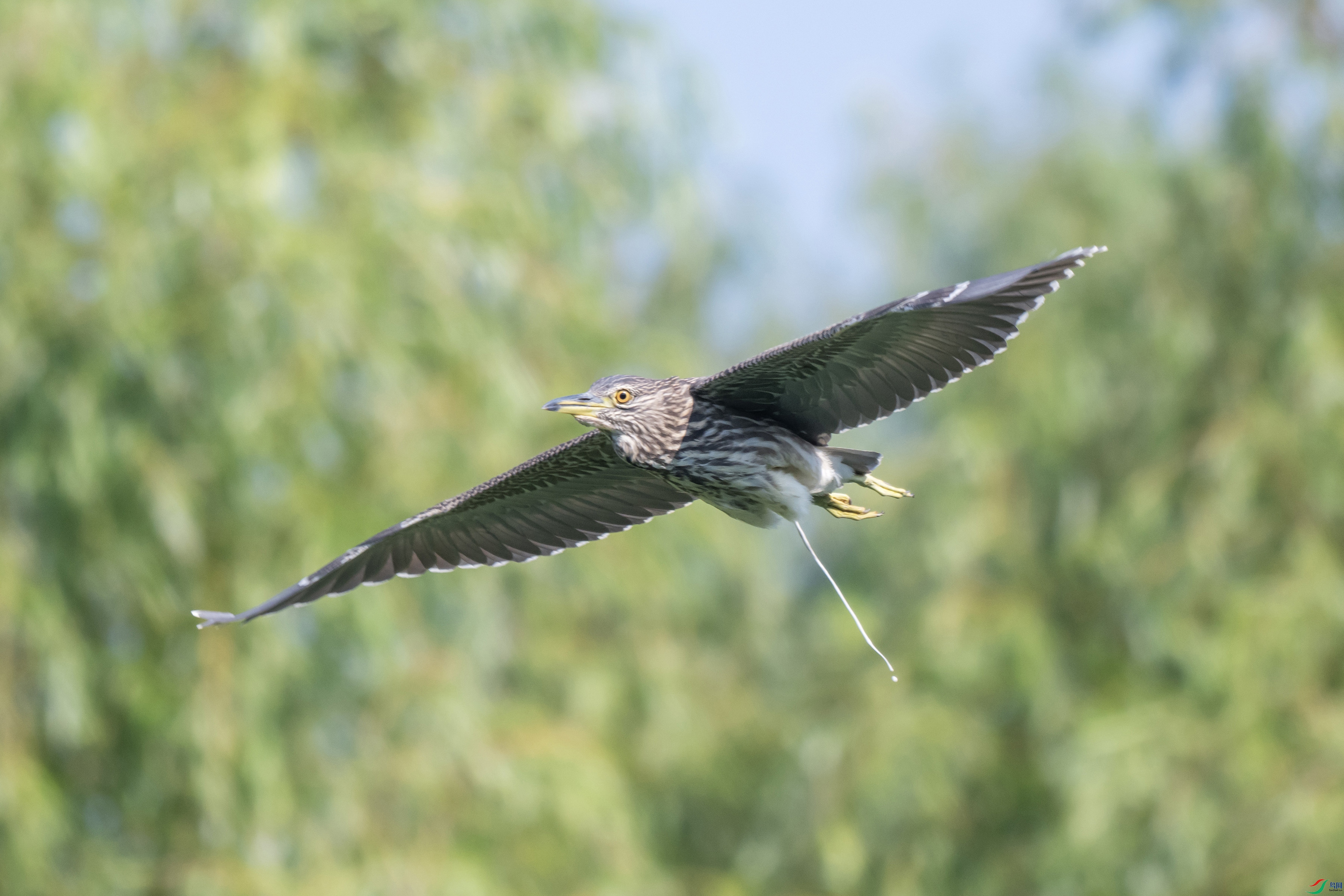 DSC_1373 ���� 2.jpg