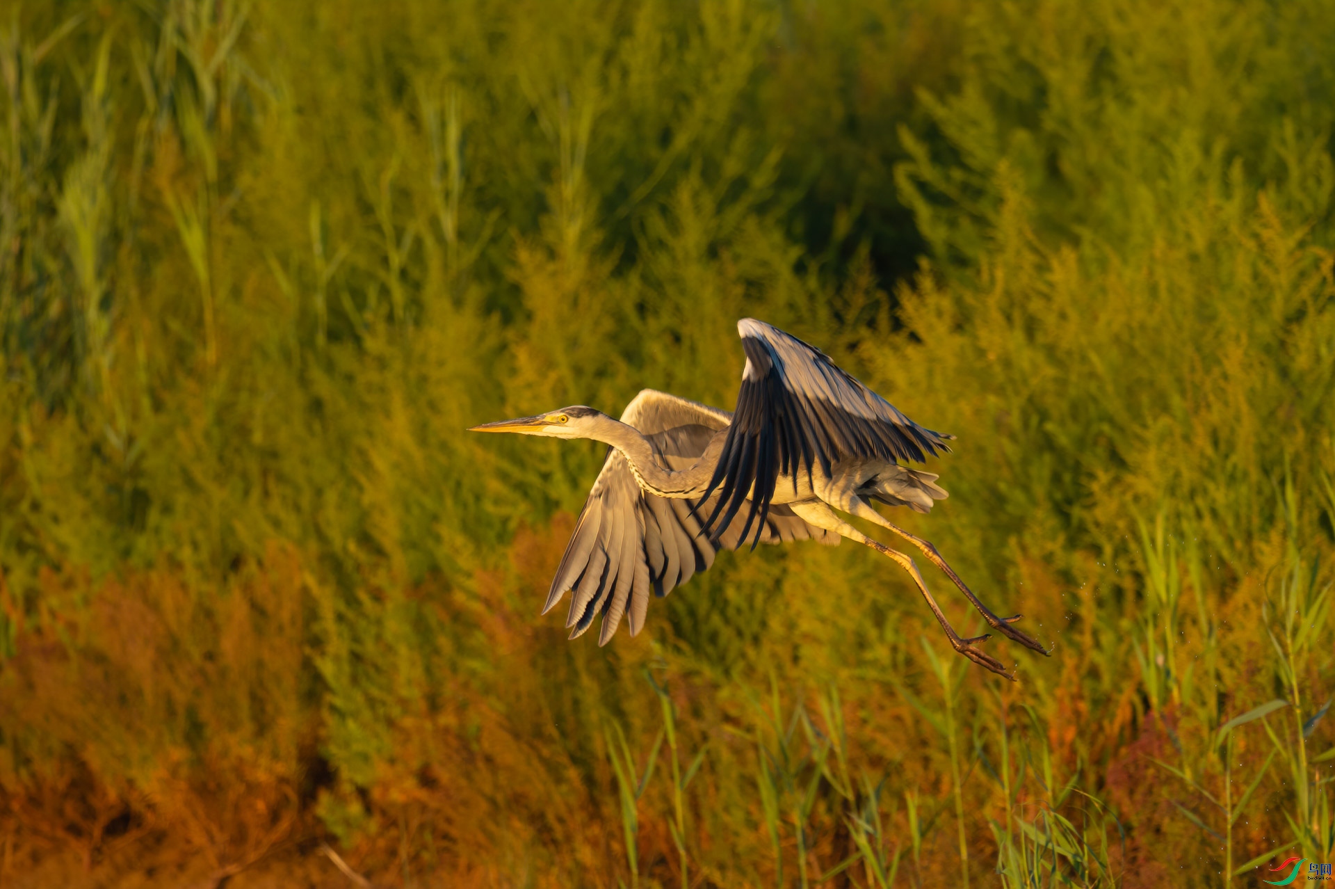 sen2016 8-28-4-�༭.jpg