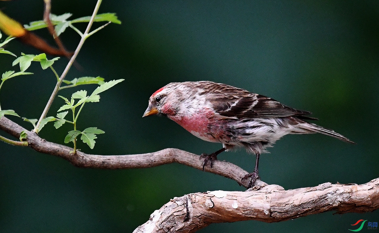 С�����춥ȸ  9.12.JPG