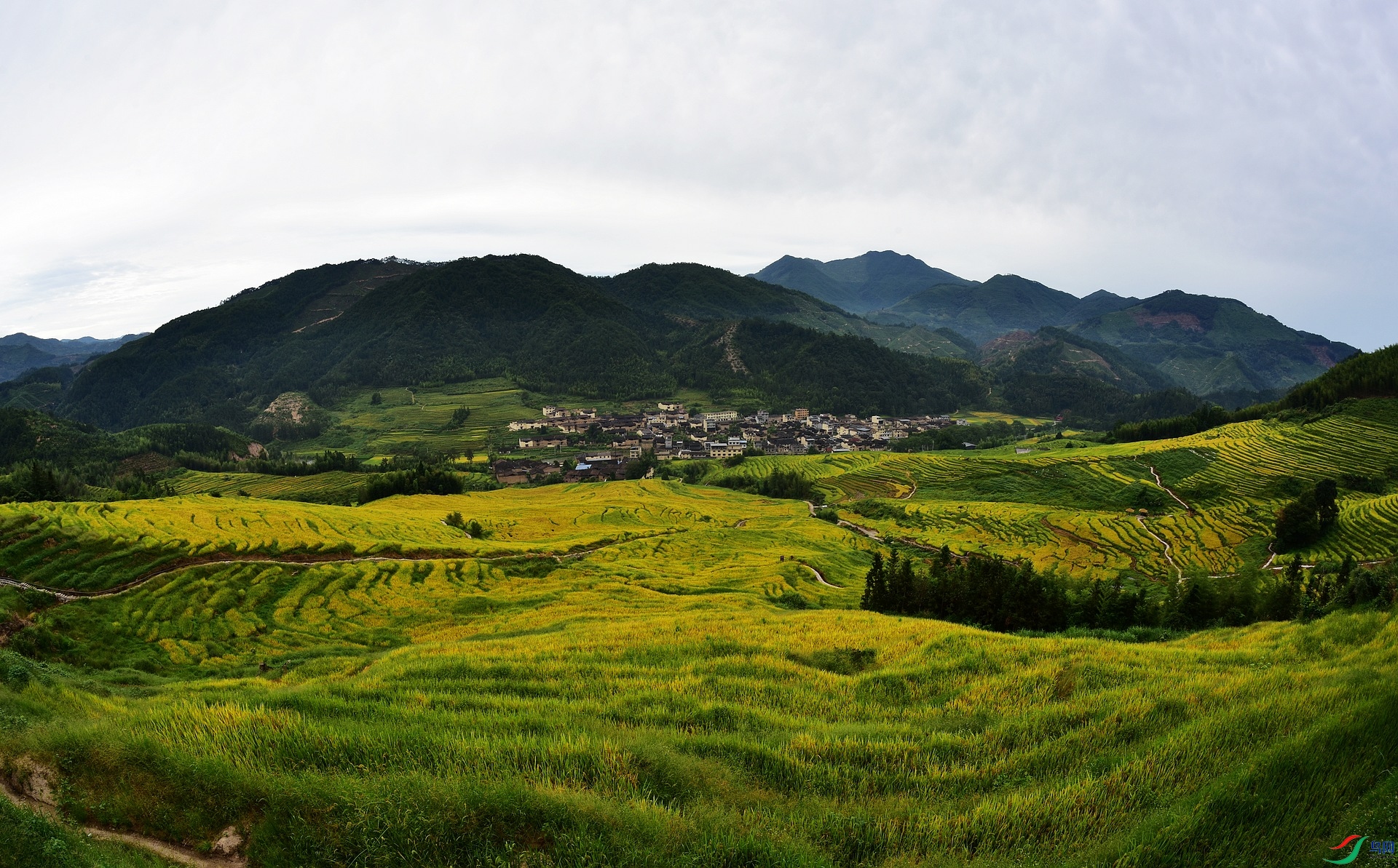 D8I_5568.jpg