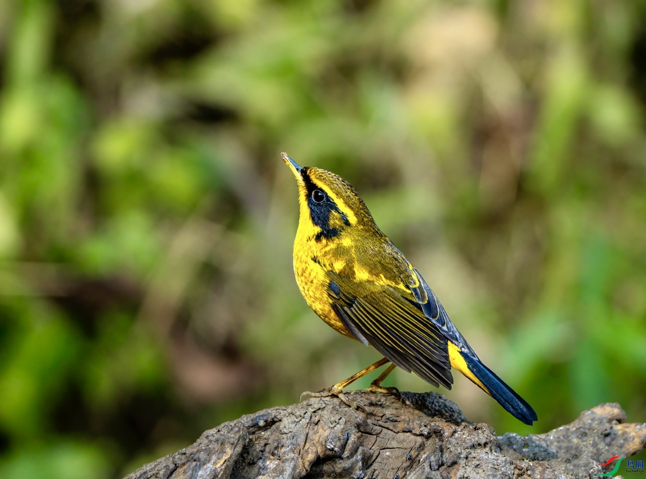 DSC00733-����ǿ ����.jpeg