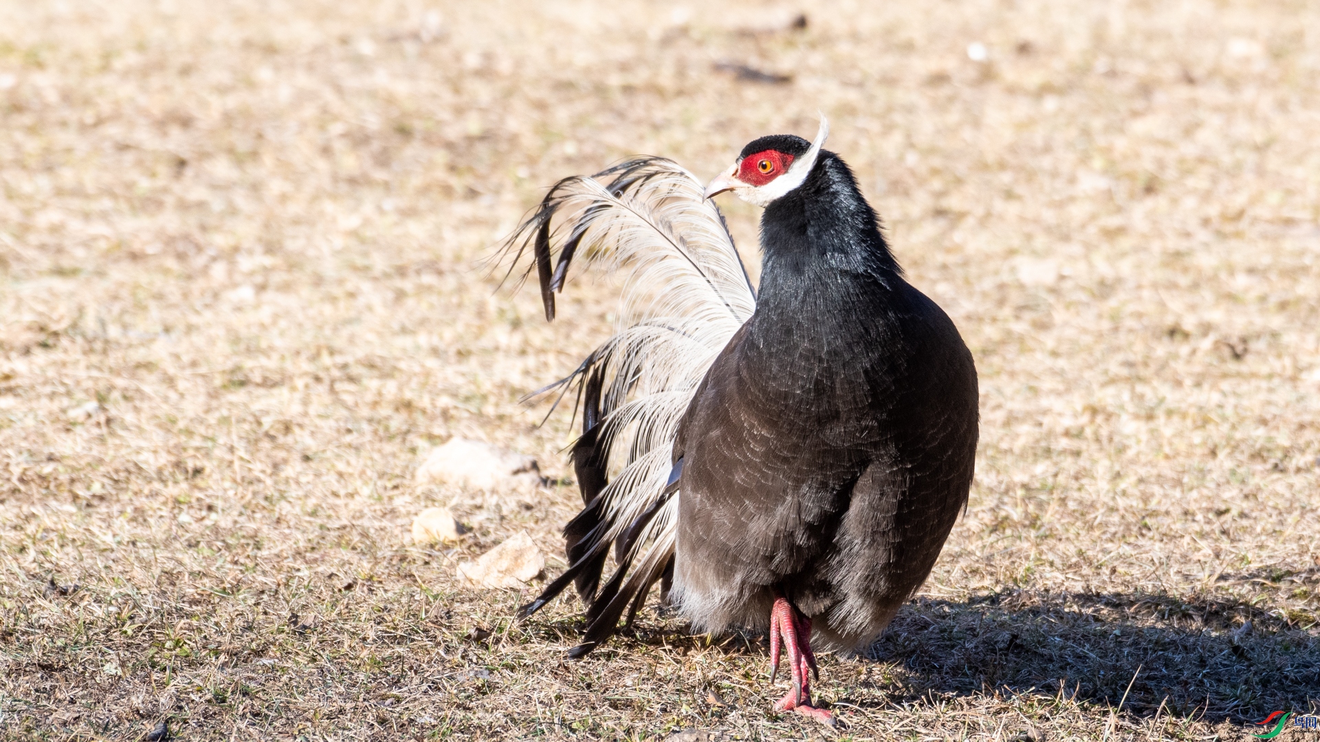 DSC_6192.jpg