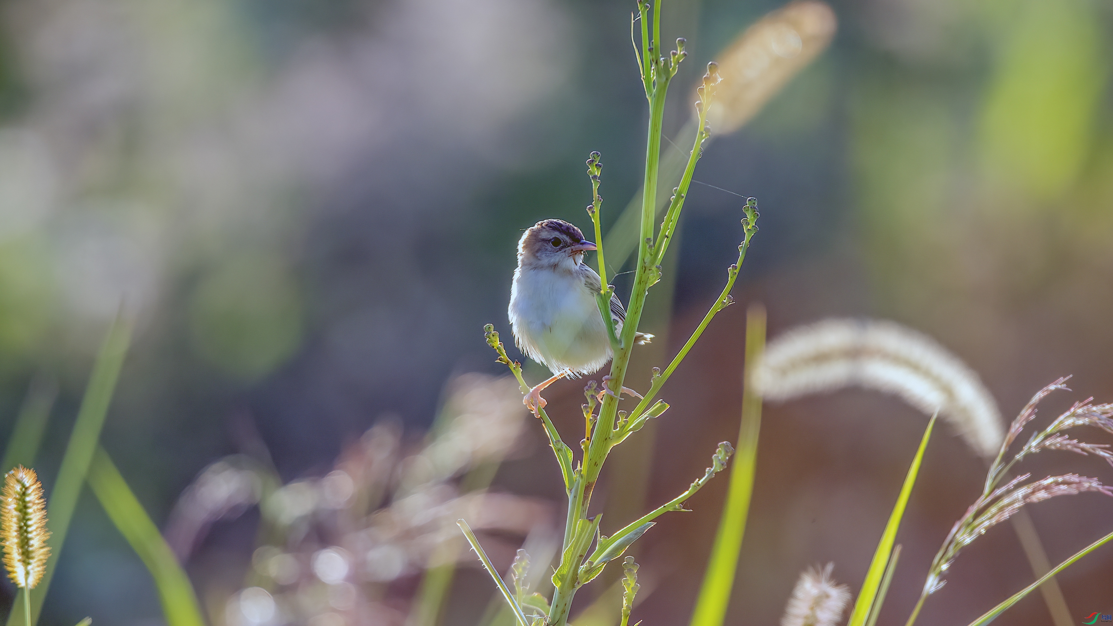 IMG_3301 ����.jpg