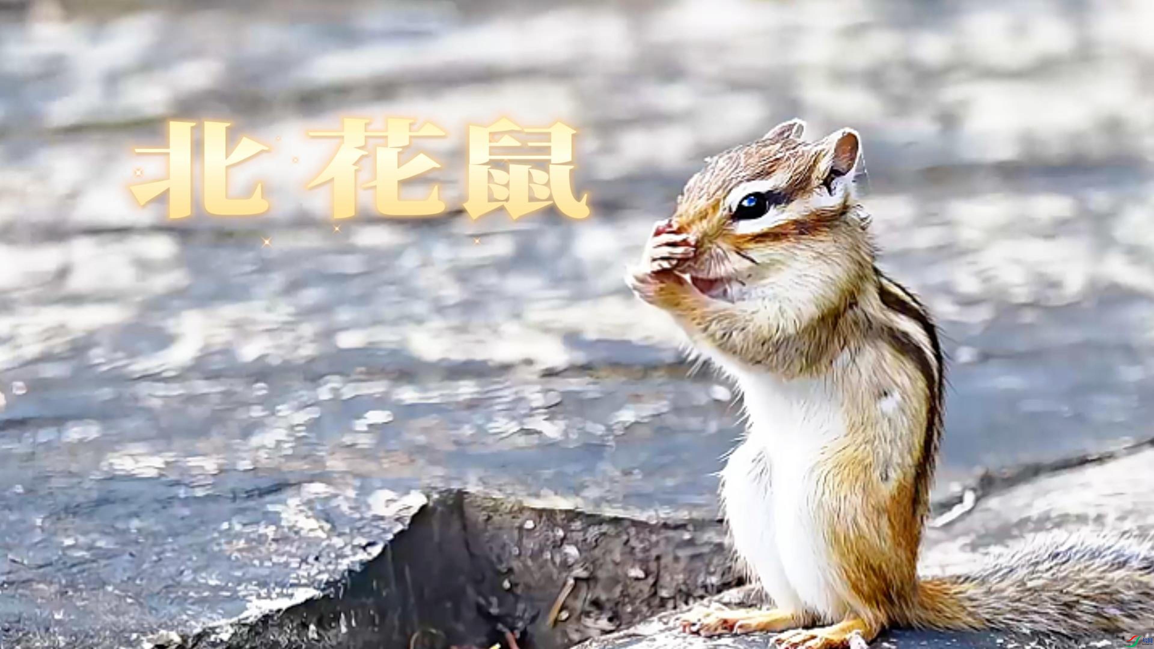 9��15�� (1)-����.jpg