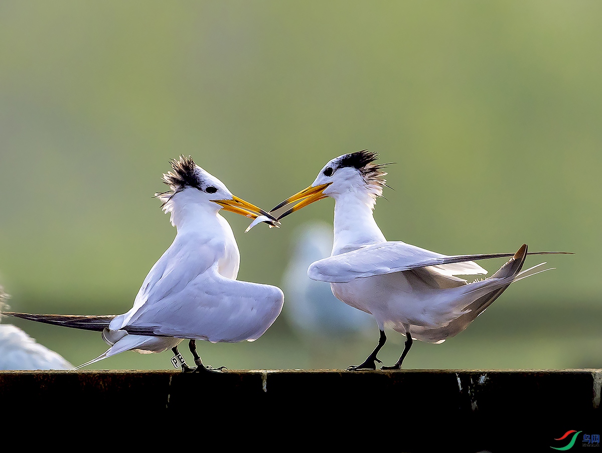 ������Ÿ�ѽ���Ѿ�