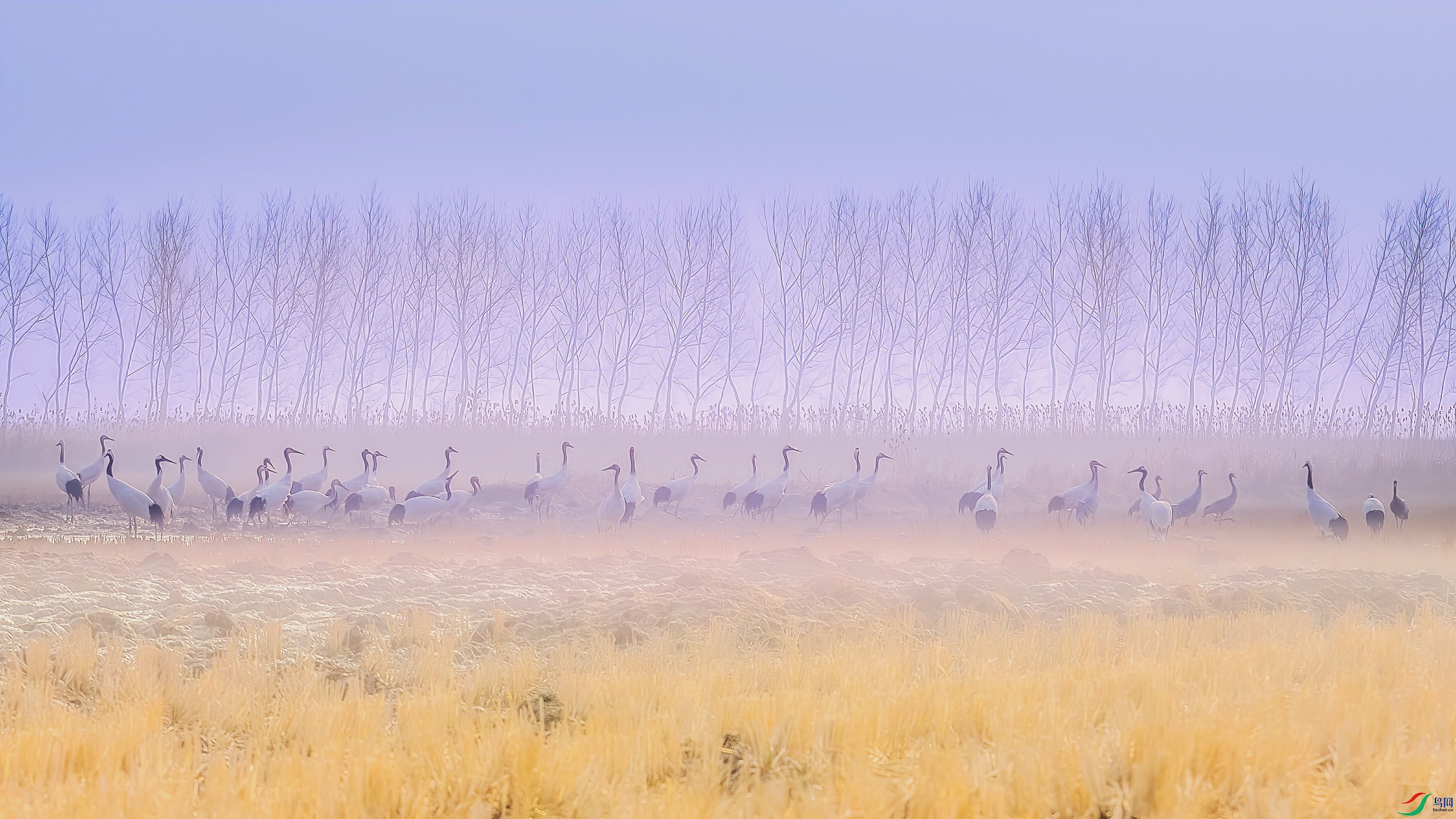 G81A8364 ���� 2.jpg