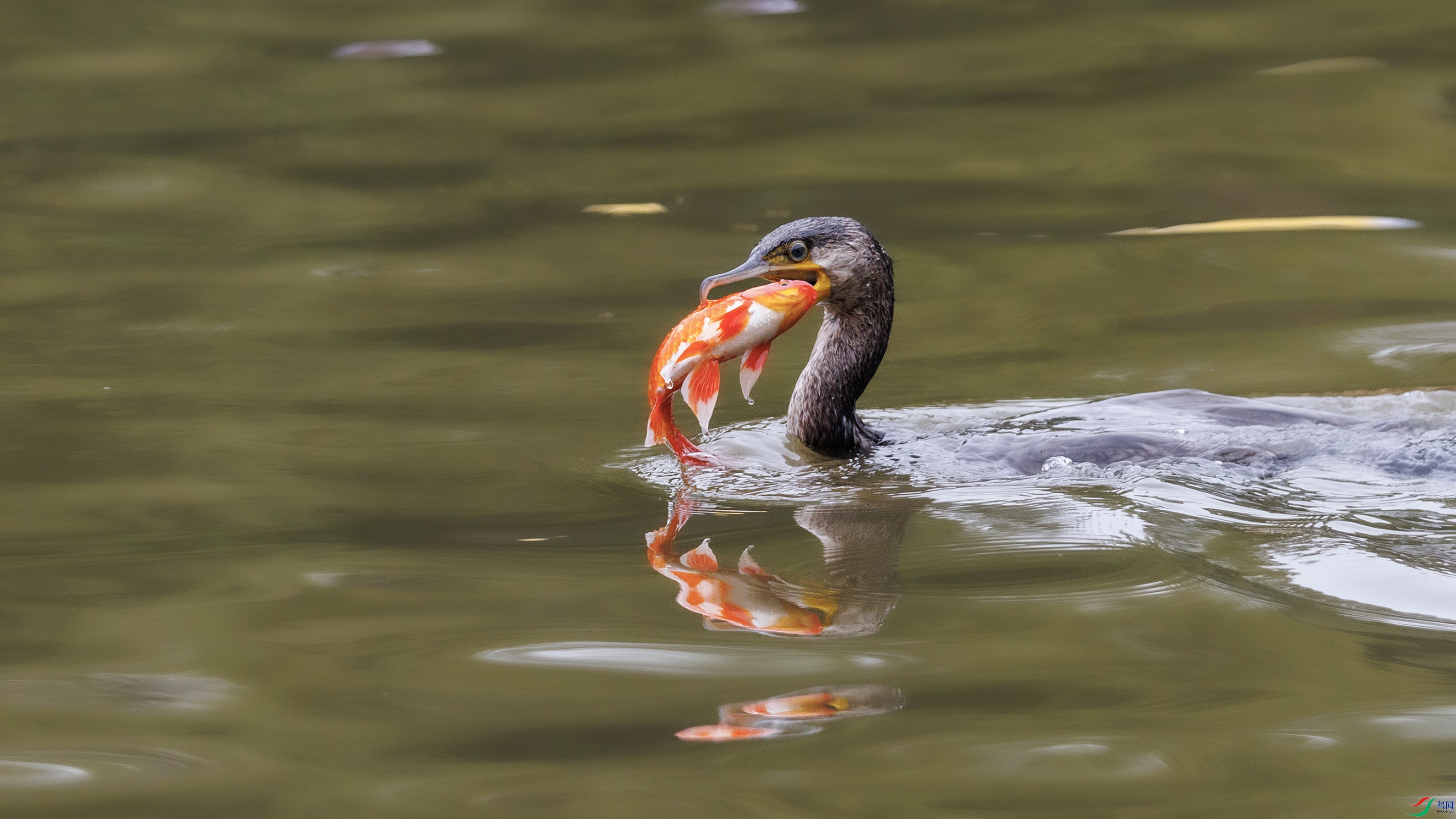 7X5A9413 ����000.jpg