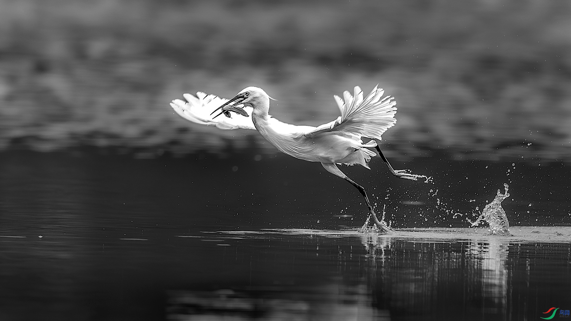 1_XXL0385-����ǿ-NR ���� 2-1.jpeg