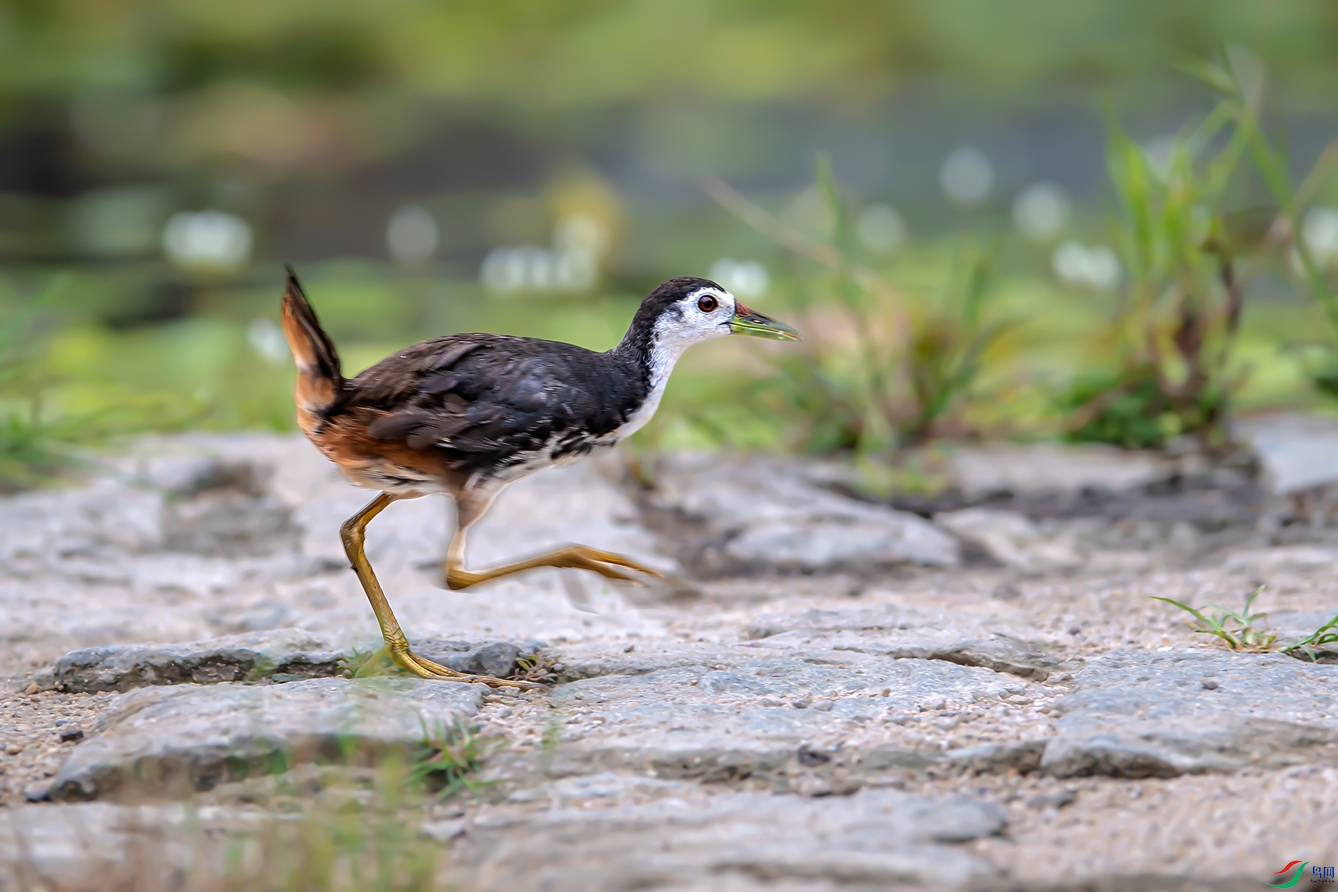 20240917��ɫ�Ҵ� .jpg