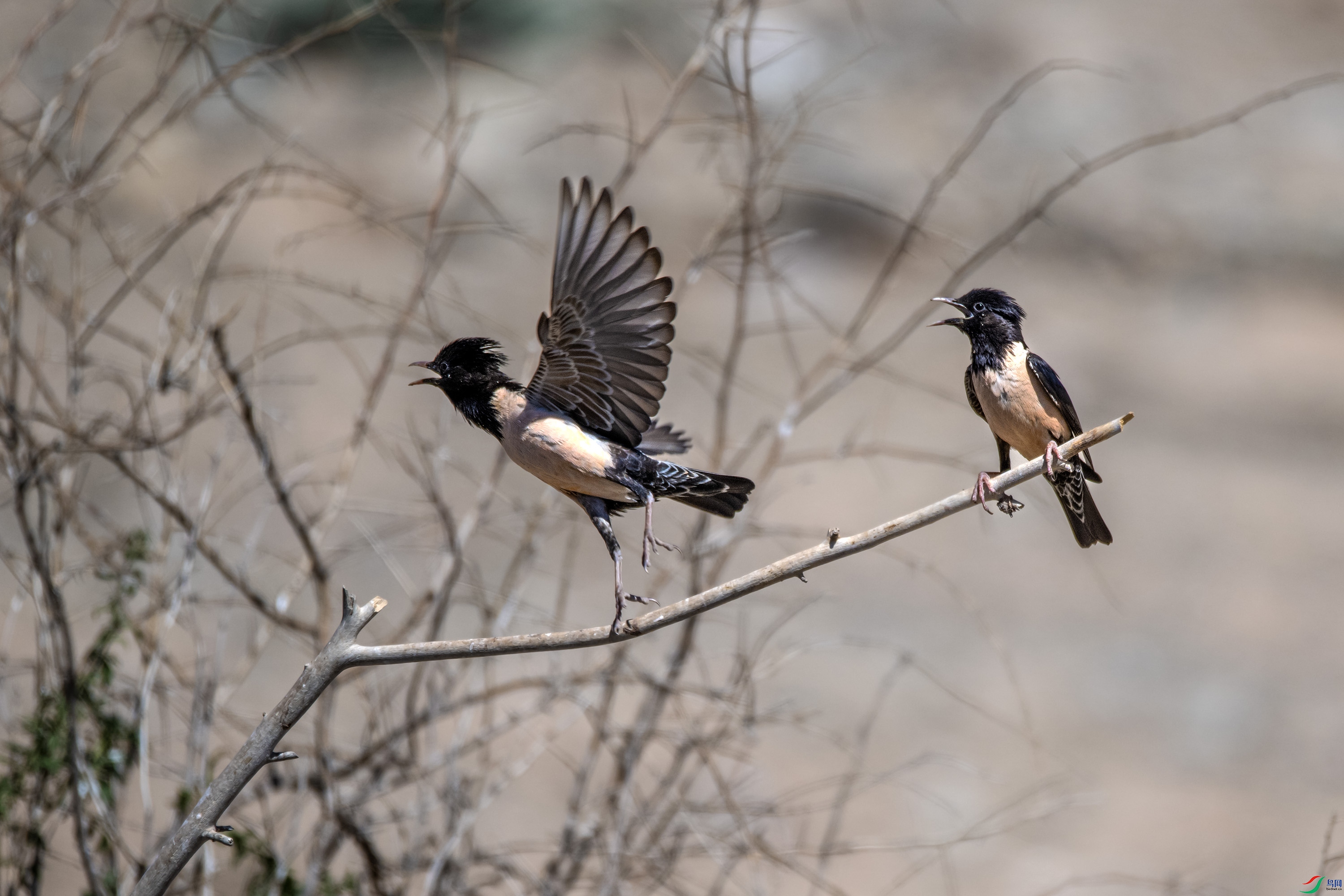 DSC_7837.jpg
