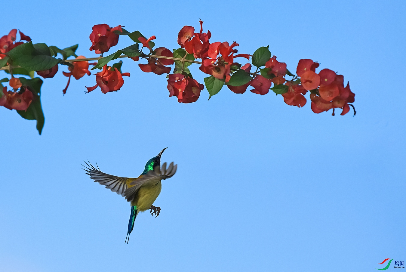 DSC_4889.jpg