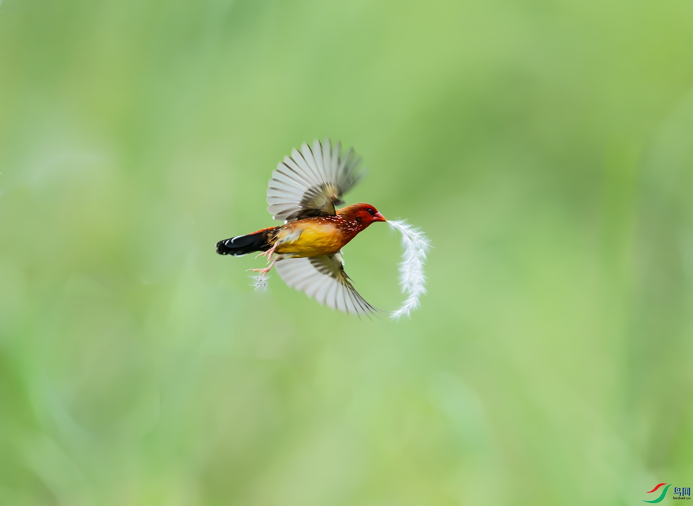 DSC_3844 ���� 3.jpg