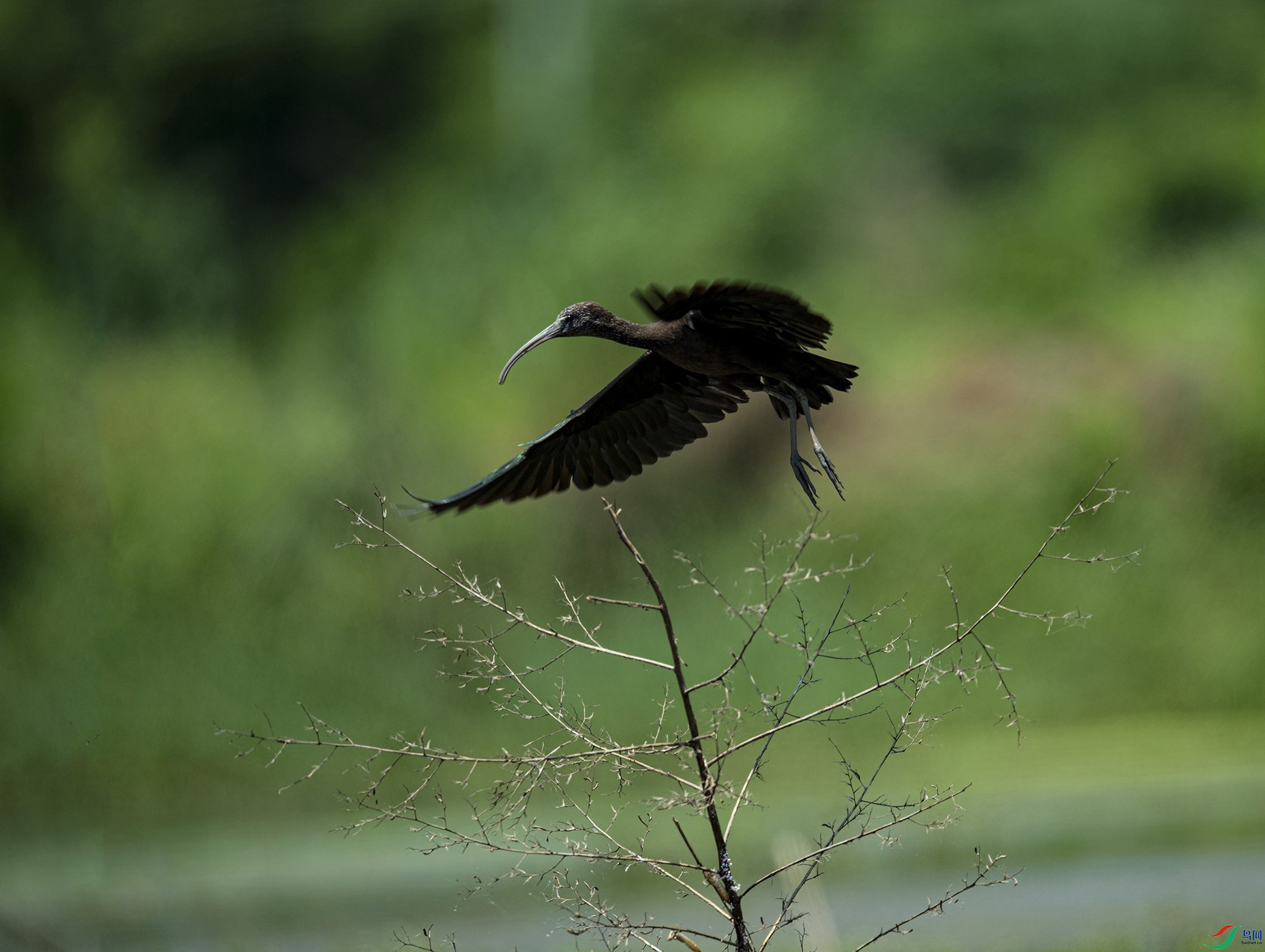 DSC_5228 - ����.jpg