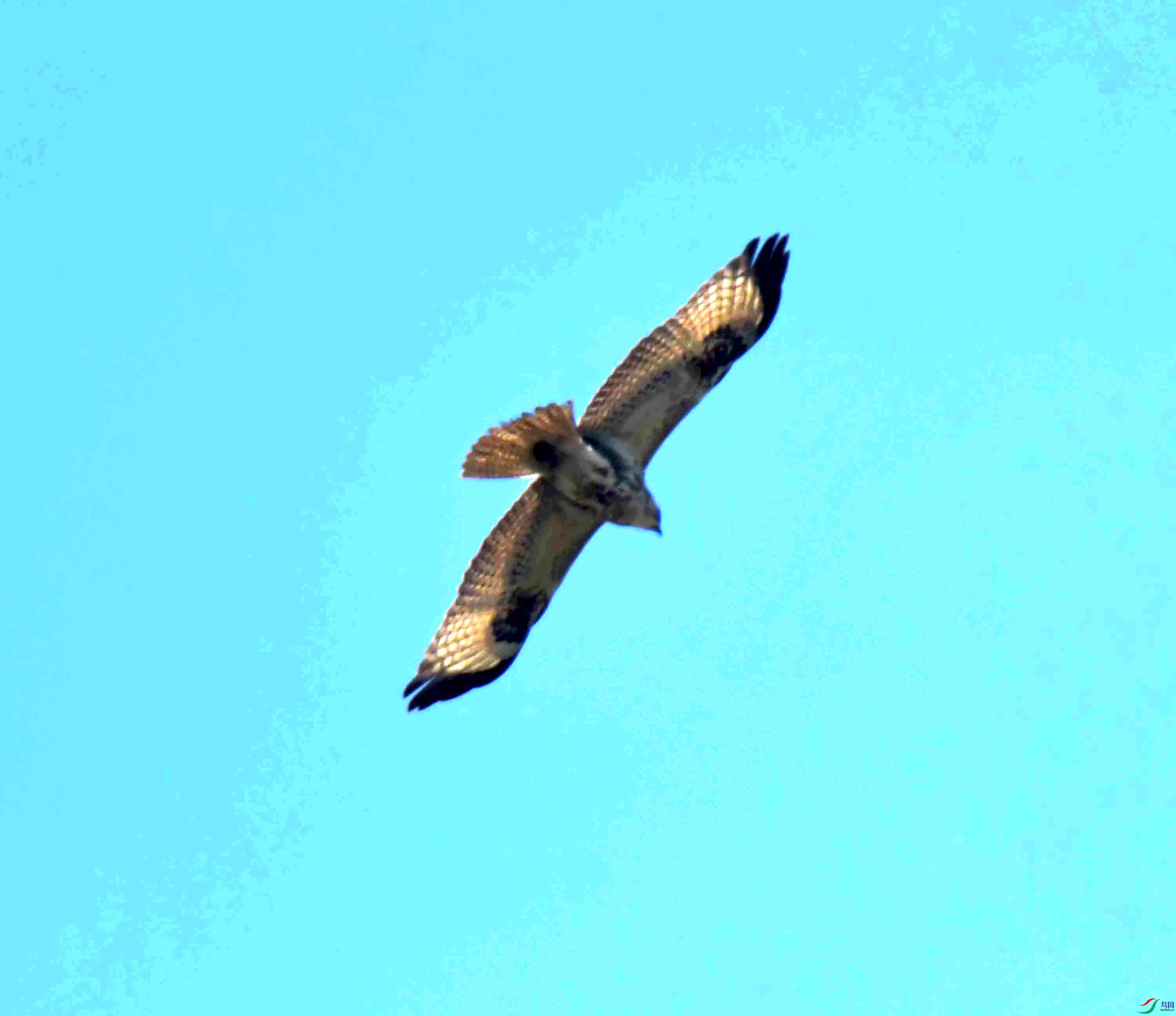 DSC_2443.JPG