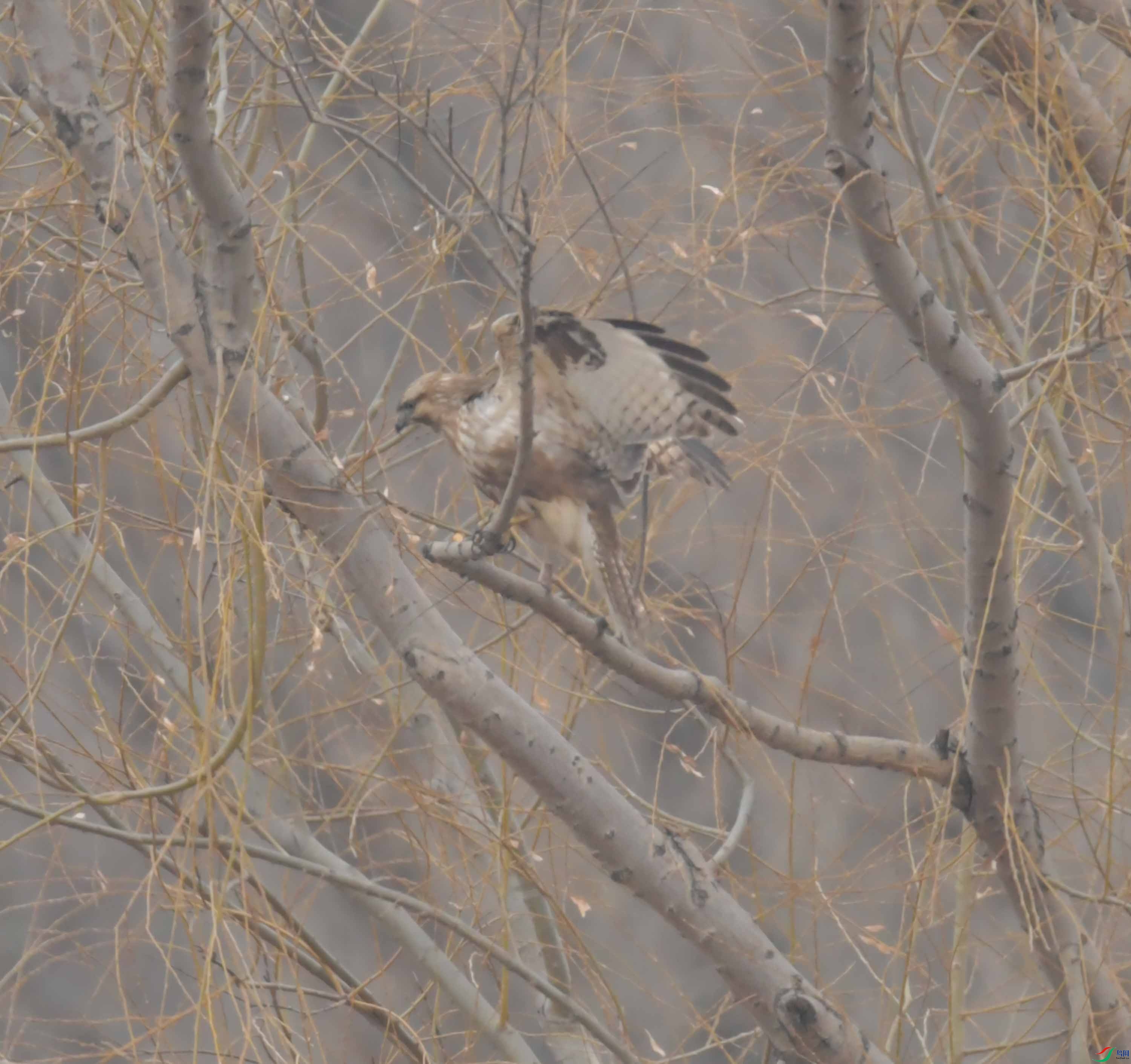 DSC_2567.JPG