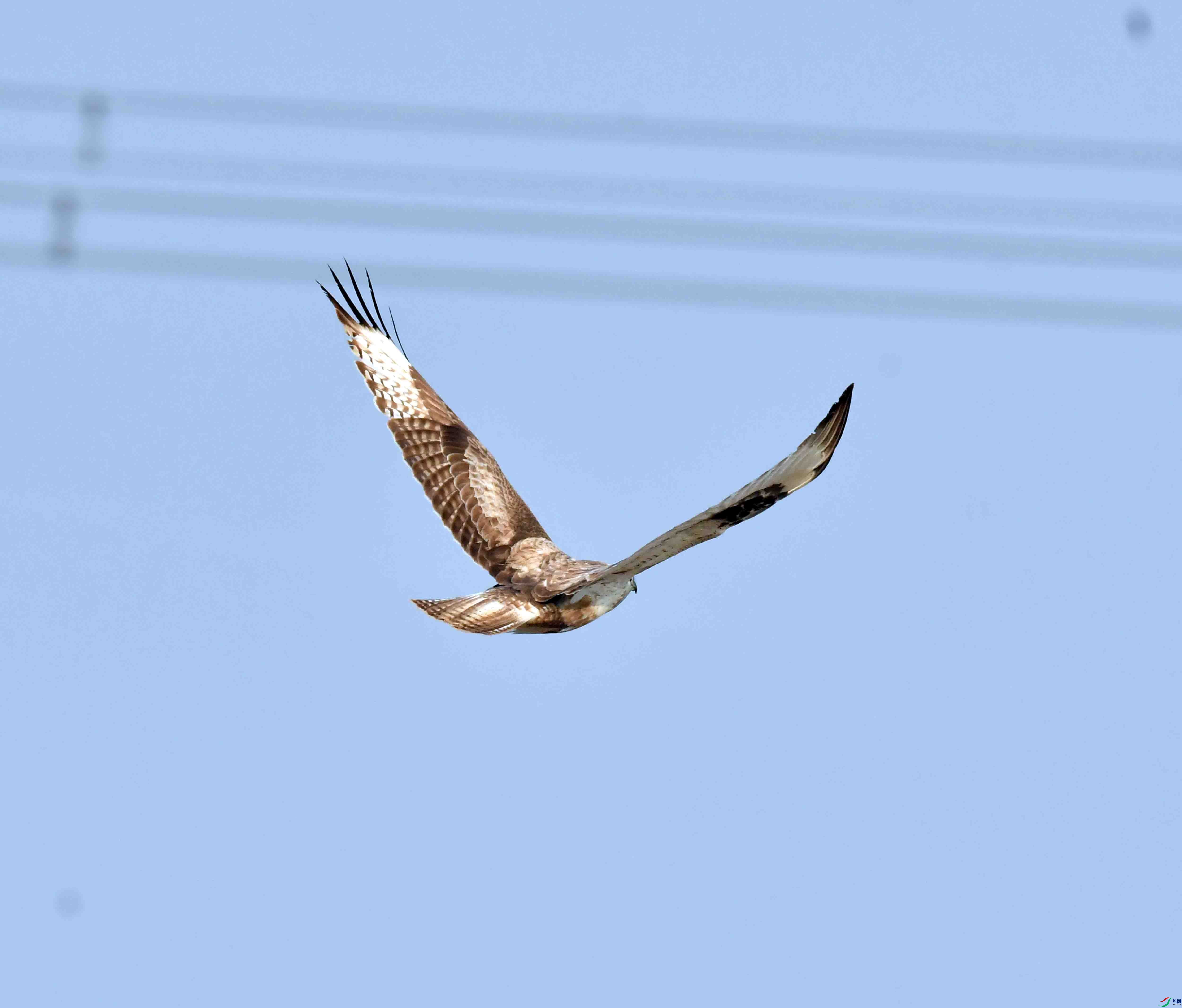 DSC_6187.JPG