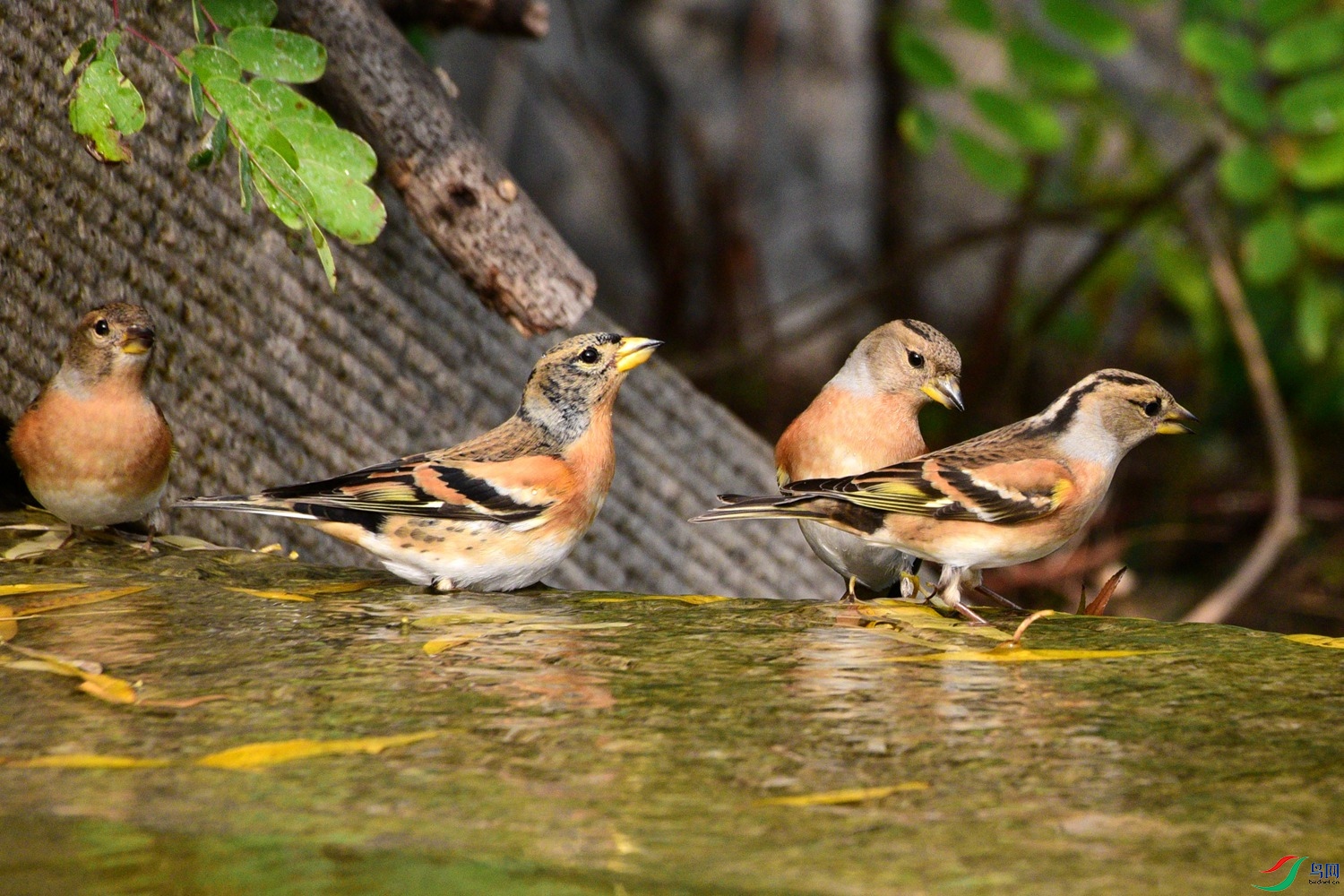 DSC_6428.JPG